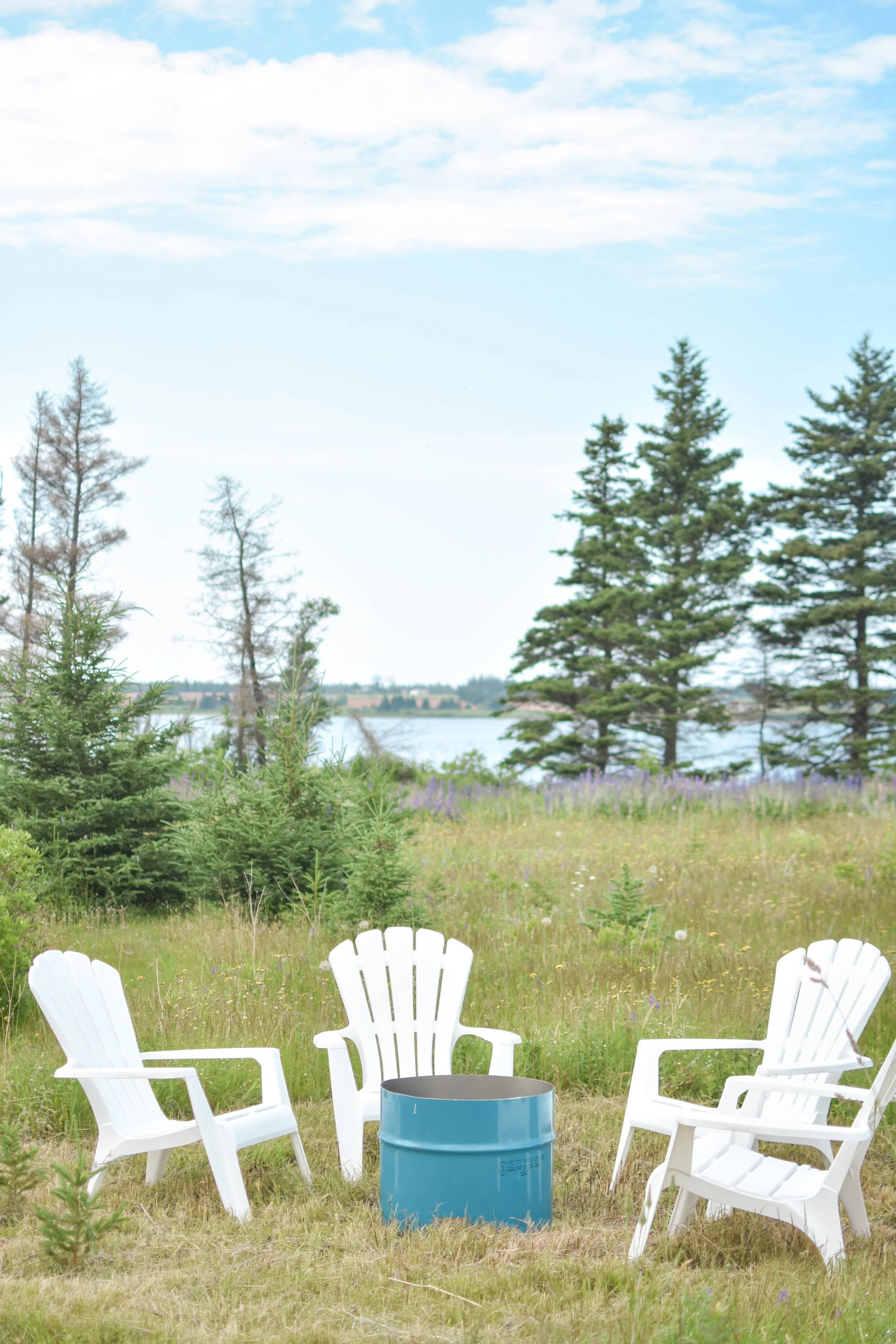 Six white Adirondack chairs arranged in a semi-circle on a grassy field with a blue metal drum in the center. In the background, there are several green pine trees and a body of water under a partly cloudy sky.