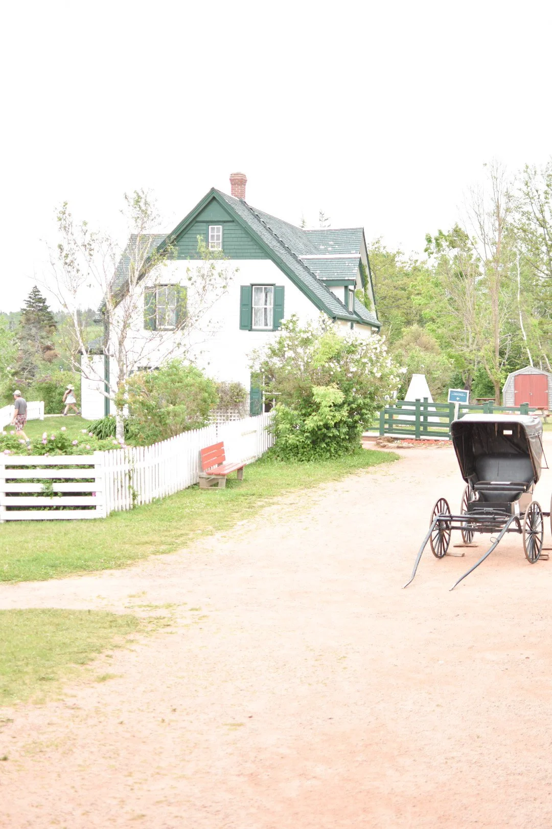 A rural house with green shutters and a white picket fence, surrounded by trees and greenery, with a horse carriage in the foreground.
