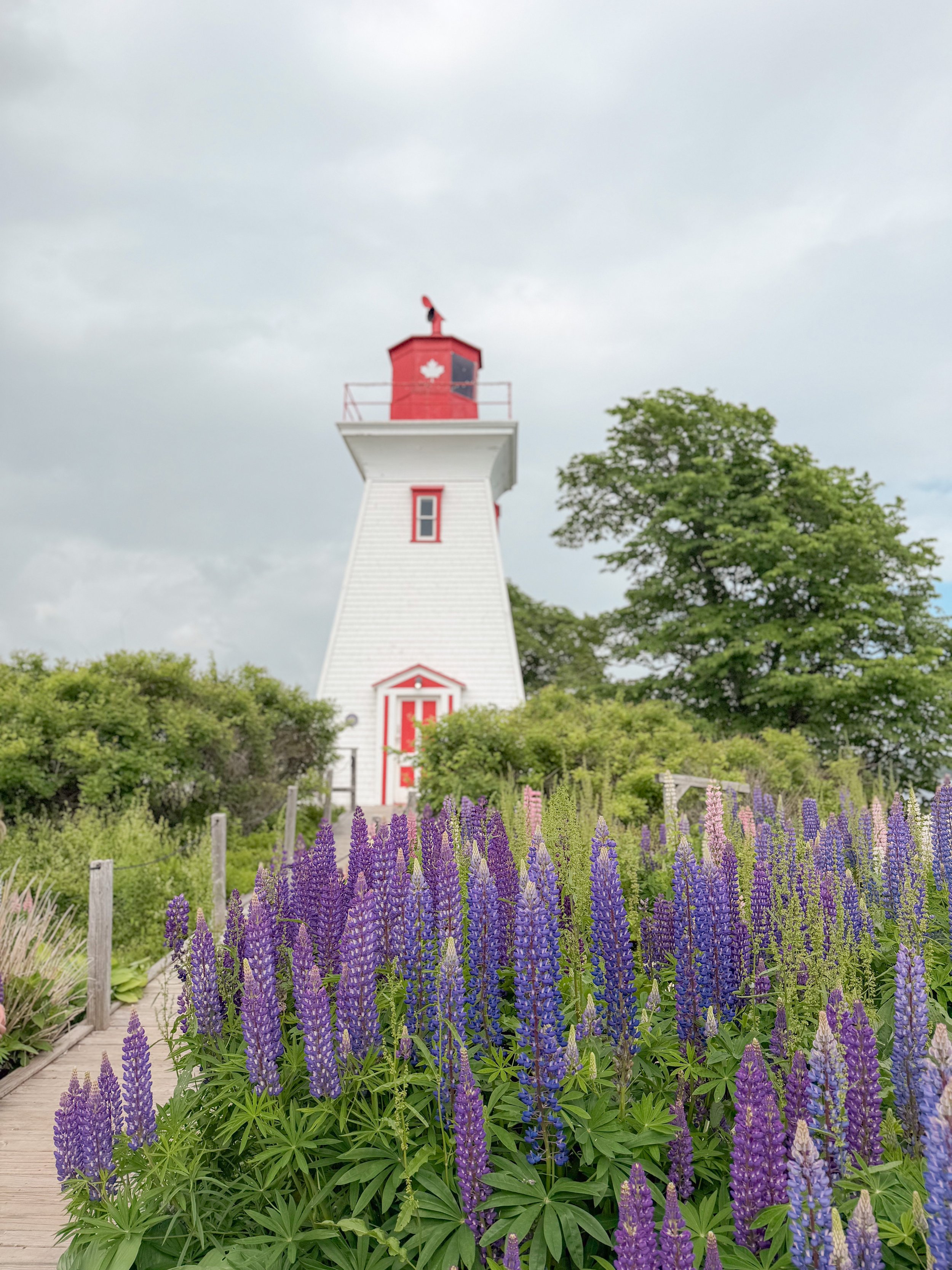 A lighthouse with a red top and white body, surrounded by lush green trees and a garden of purple and lilac flowers, under a cloudy sky.