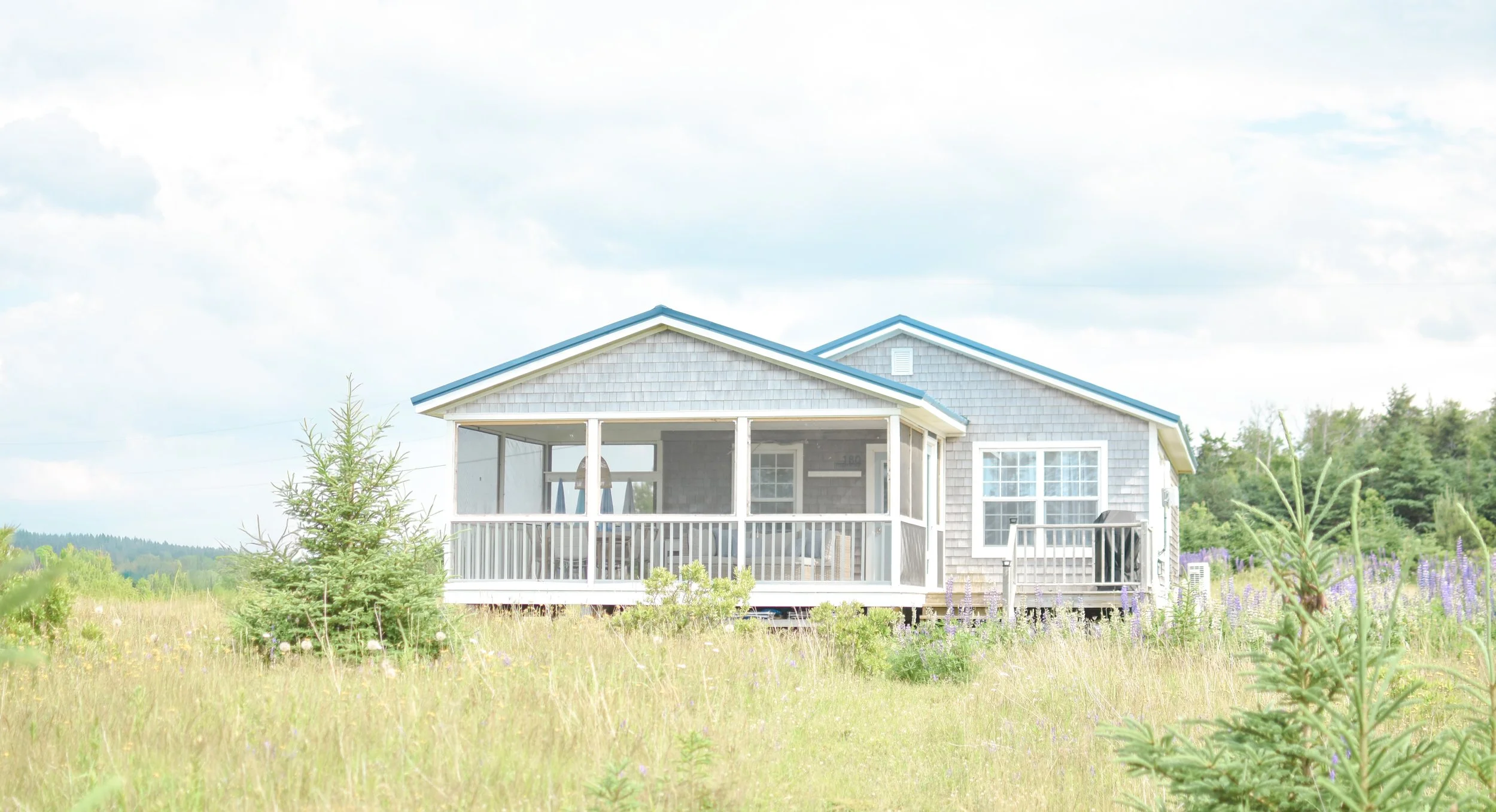 A house with a porch, windows, and a blue roof, situated in a grassy area with trees and purple flowers visible in the foreground.
