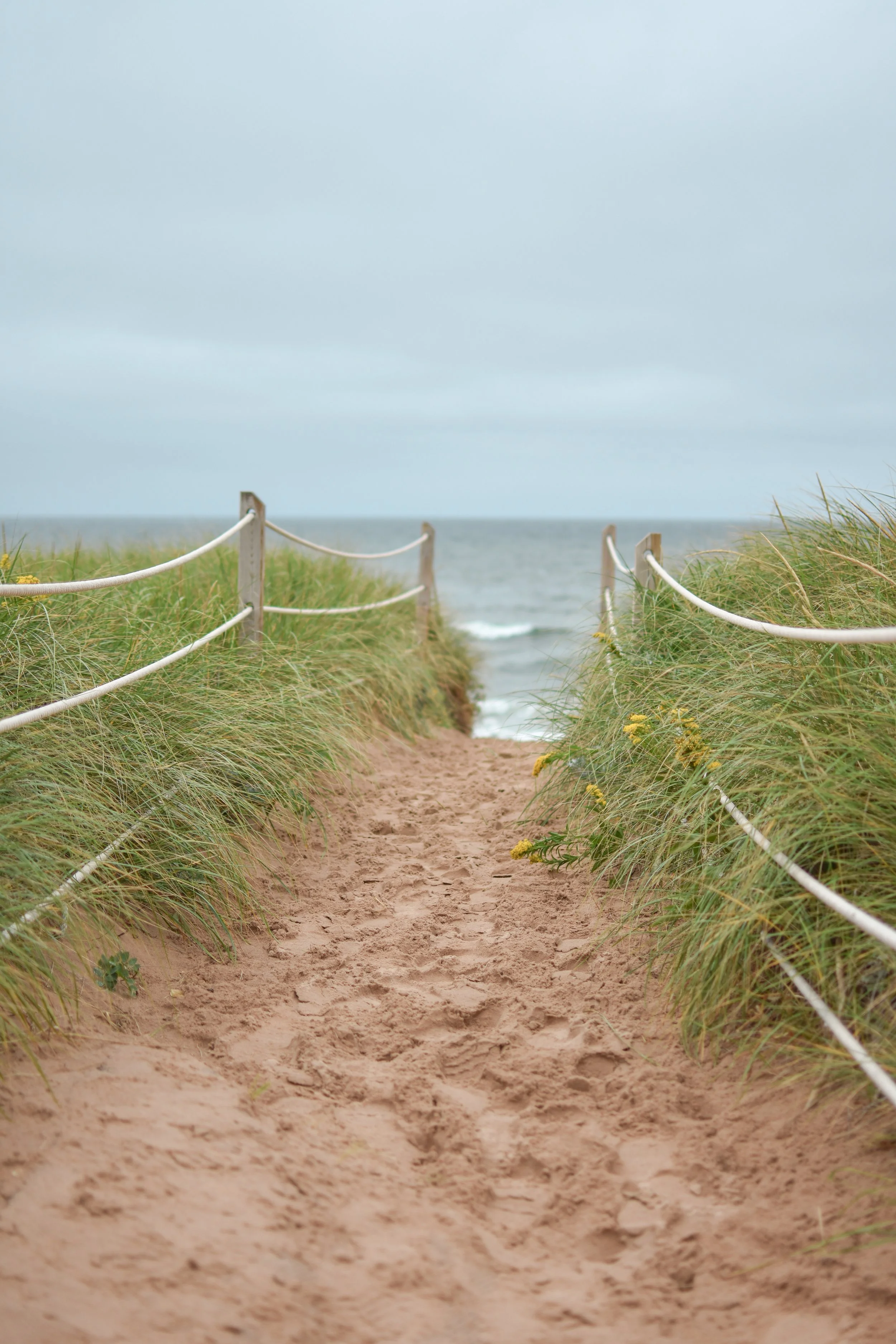 A sandy pathway leading through grassy dunes towards the ocean, with overcast sky overhead.