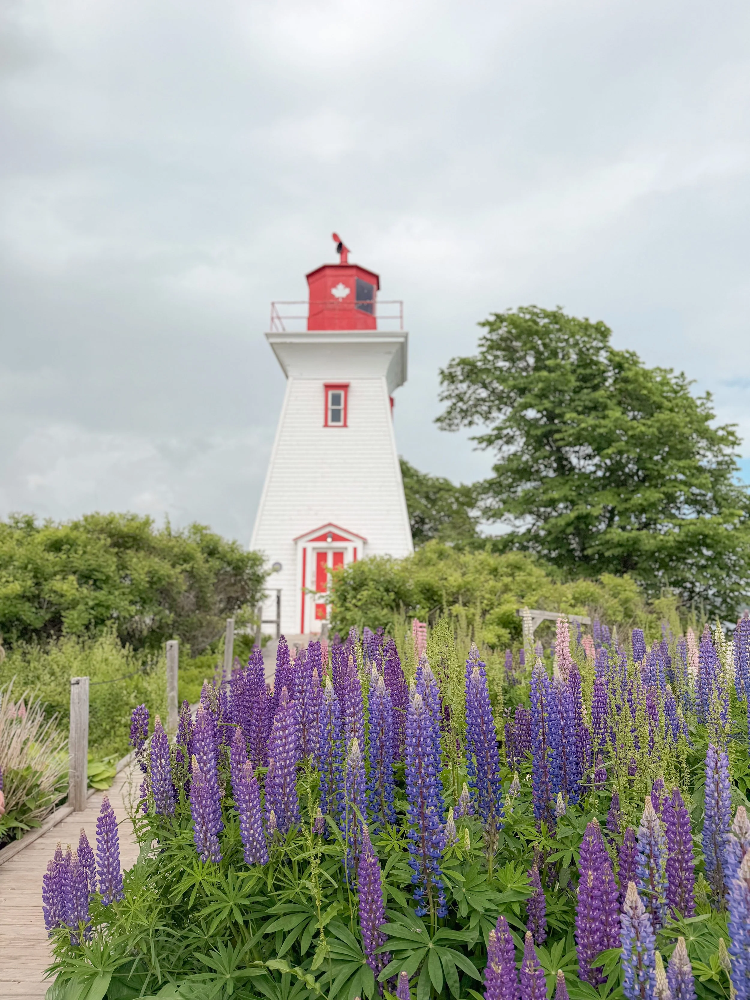 Lighthouse with red and white exterior, surrounded by purple and green flowering plants, with trees and a cloudy sky in the background.