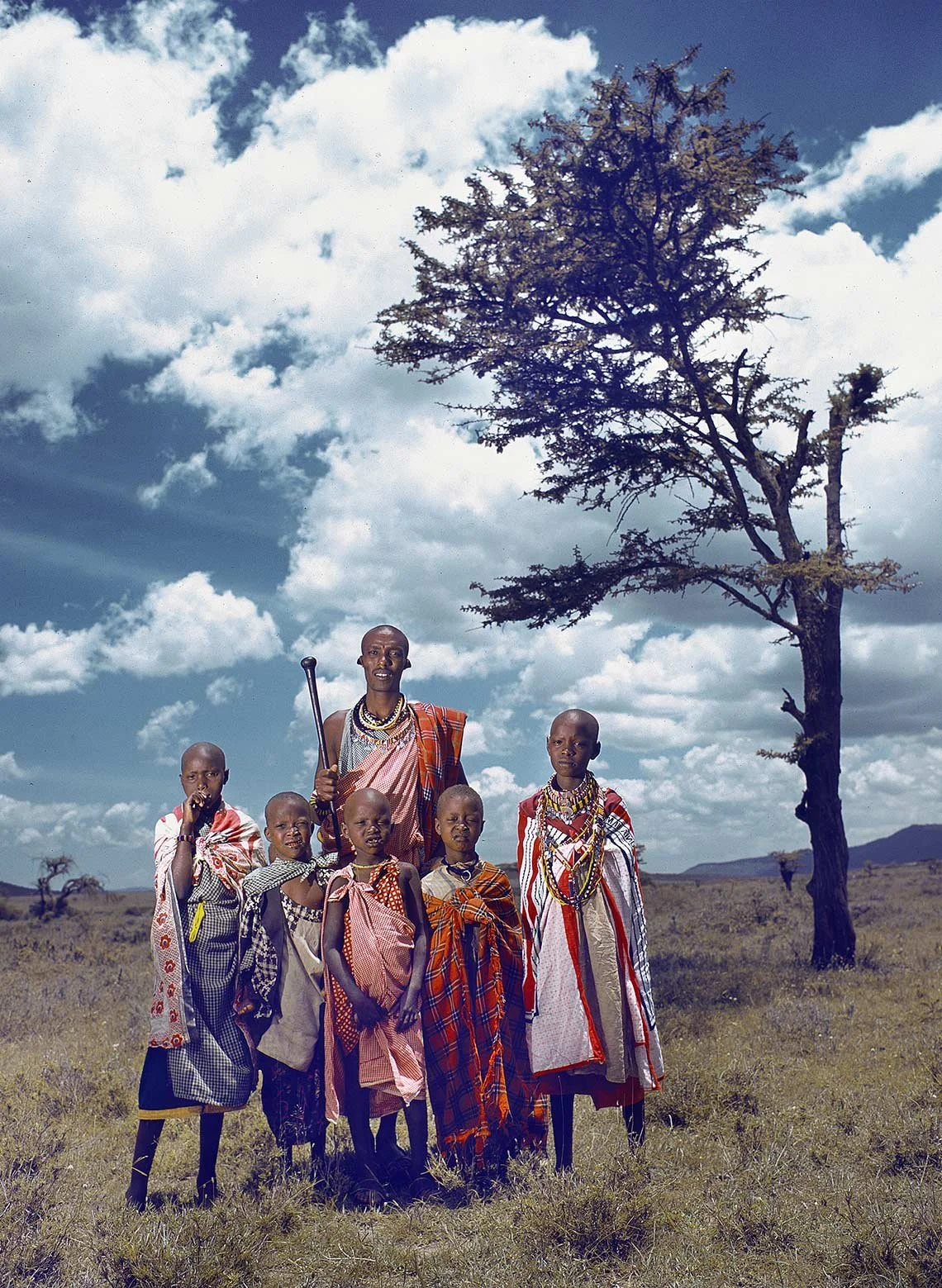 Masaii_Famil-Tree.jpg
