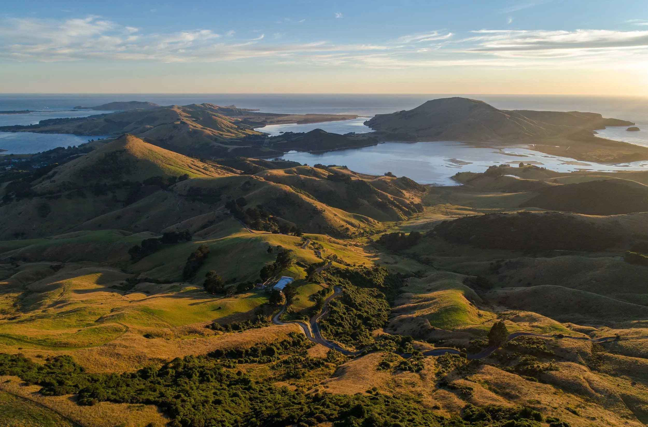 Dunedin_KristianFrires-5489.jpg