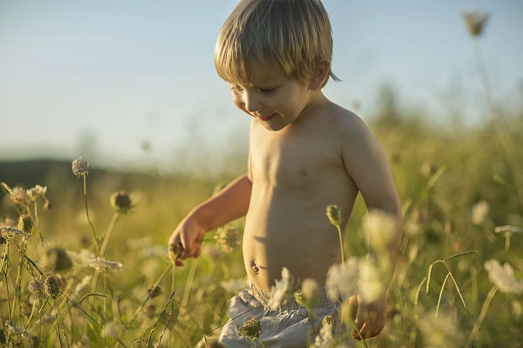 Brodie_In_Field.jpg