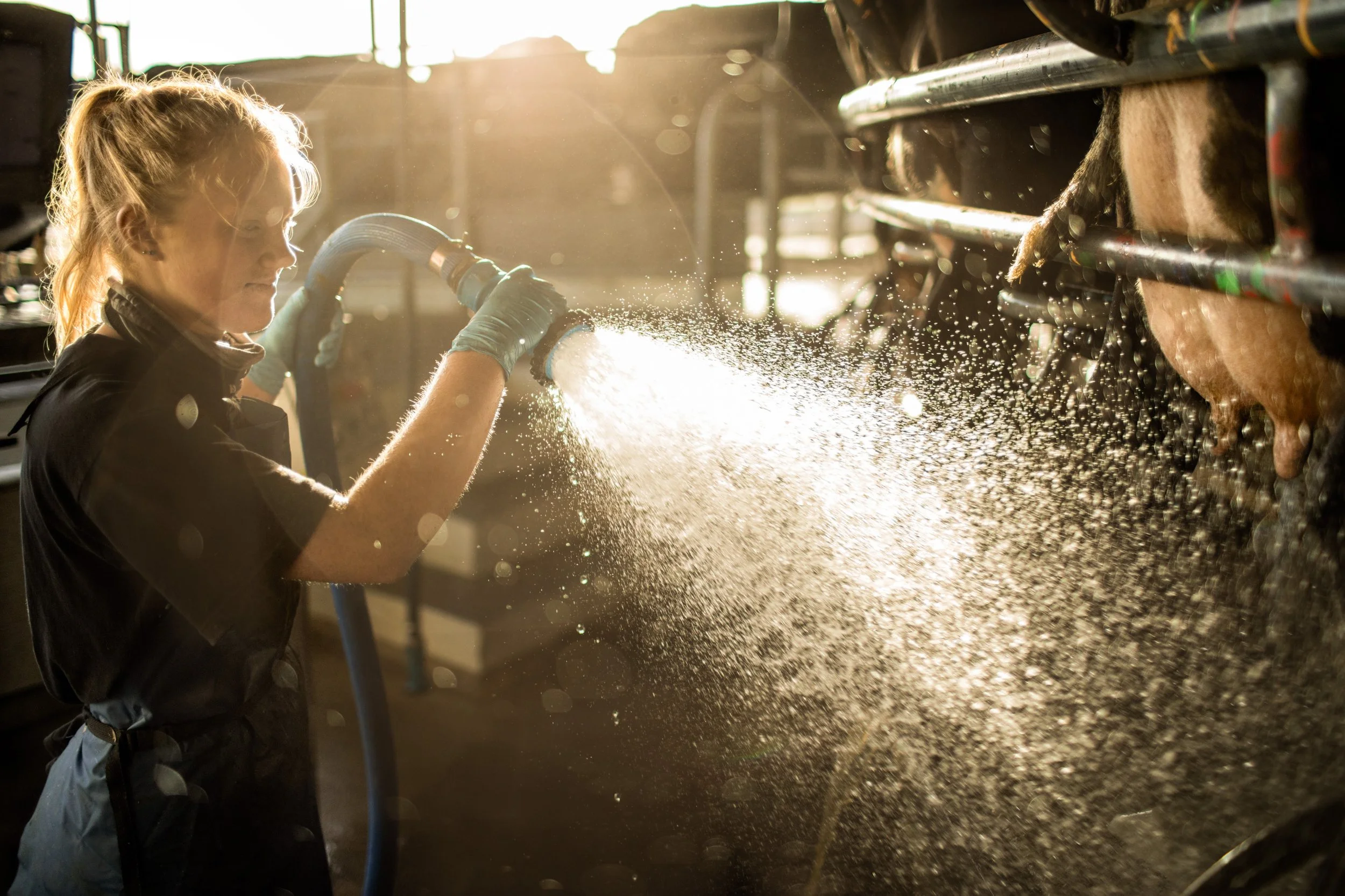 TaupoPure_Farms-498-Edit.jpg