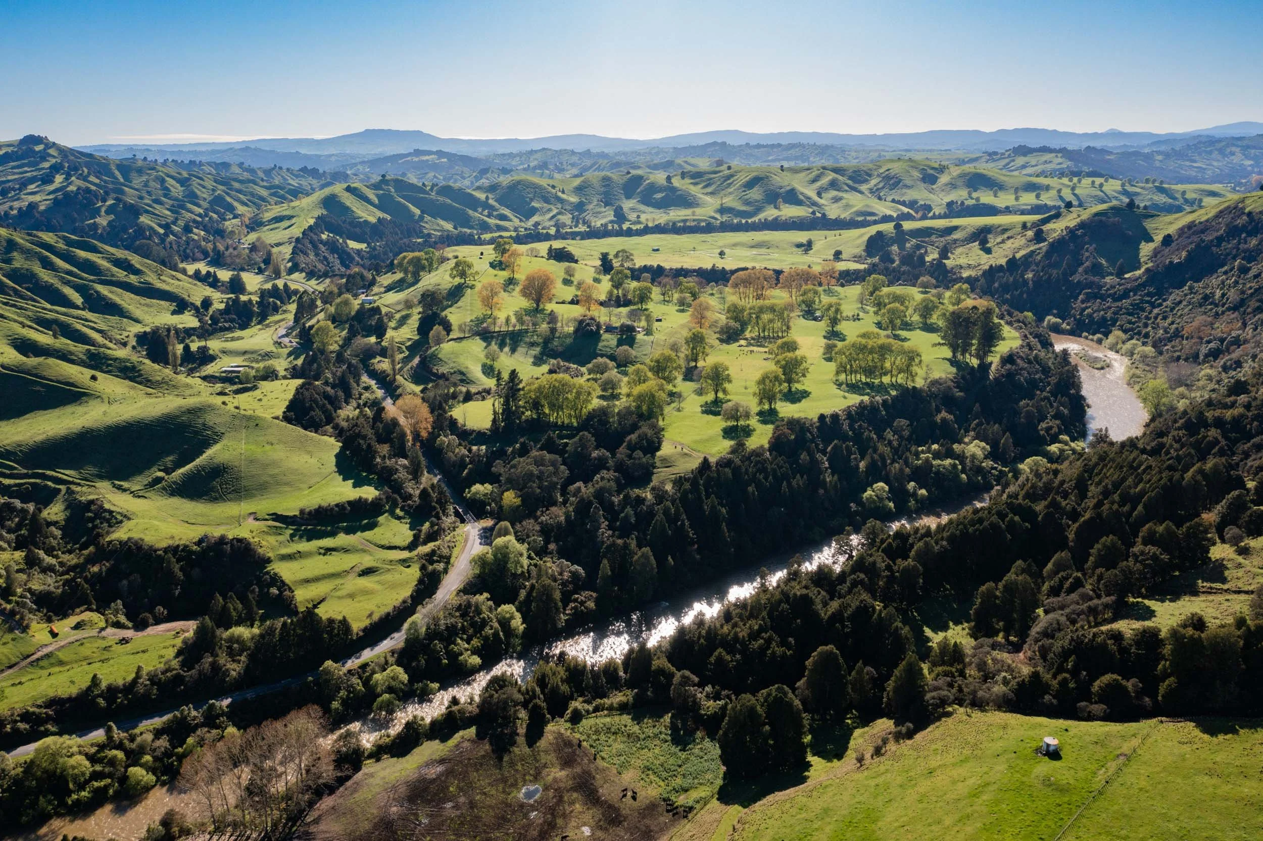 SFF_Taumaranui-8_Web13.jpg