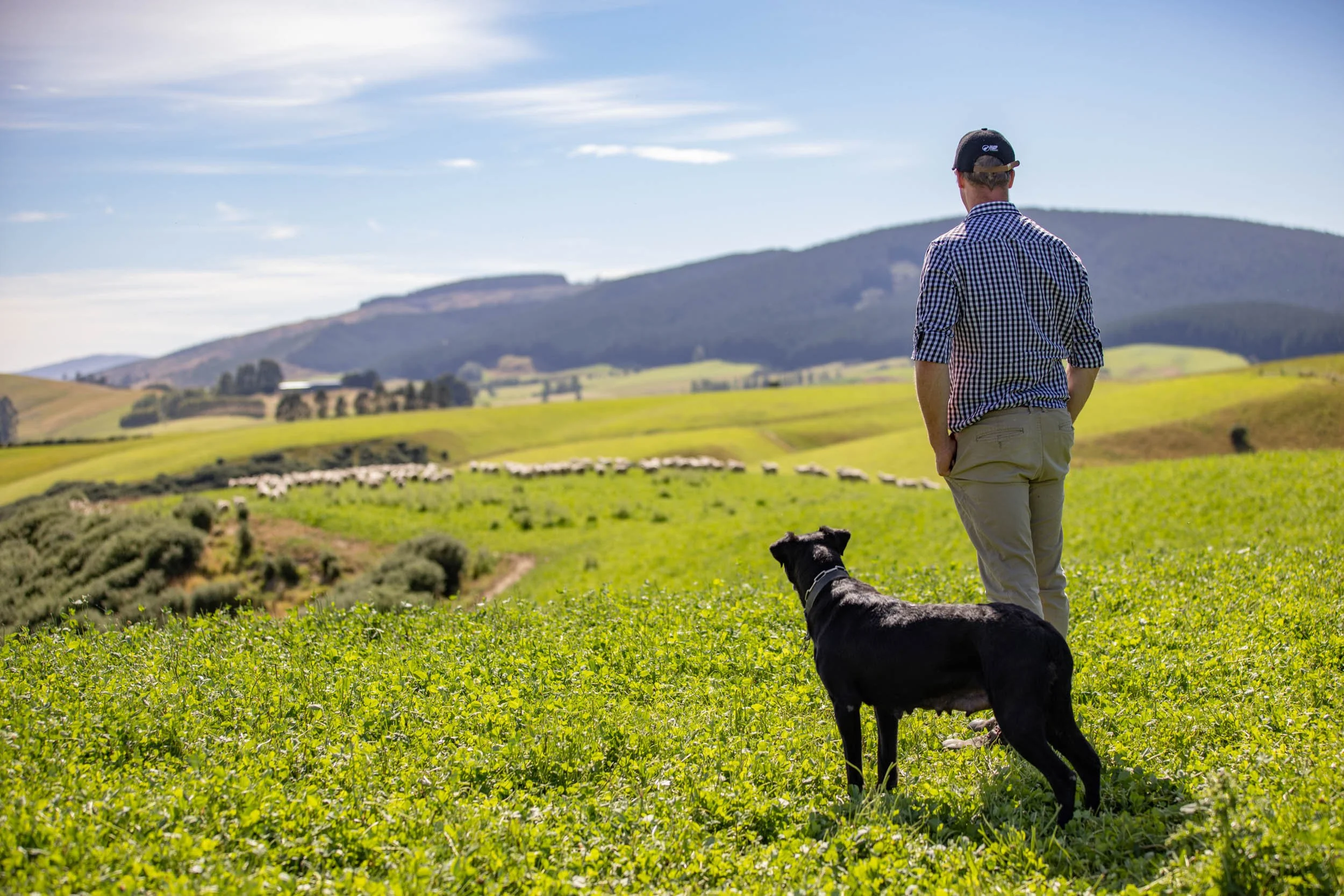 SFF_KaitangataFarm-1284_Web13.jpg