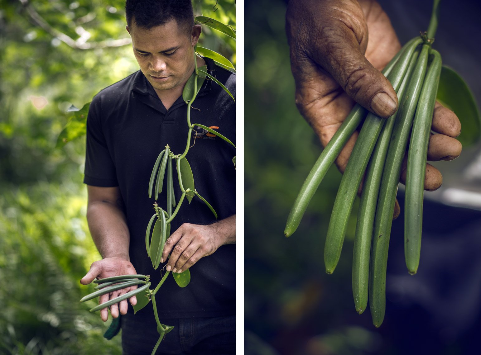 Oxfam-Tonga-3360_3Q.jpg
