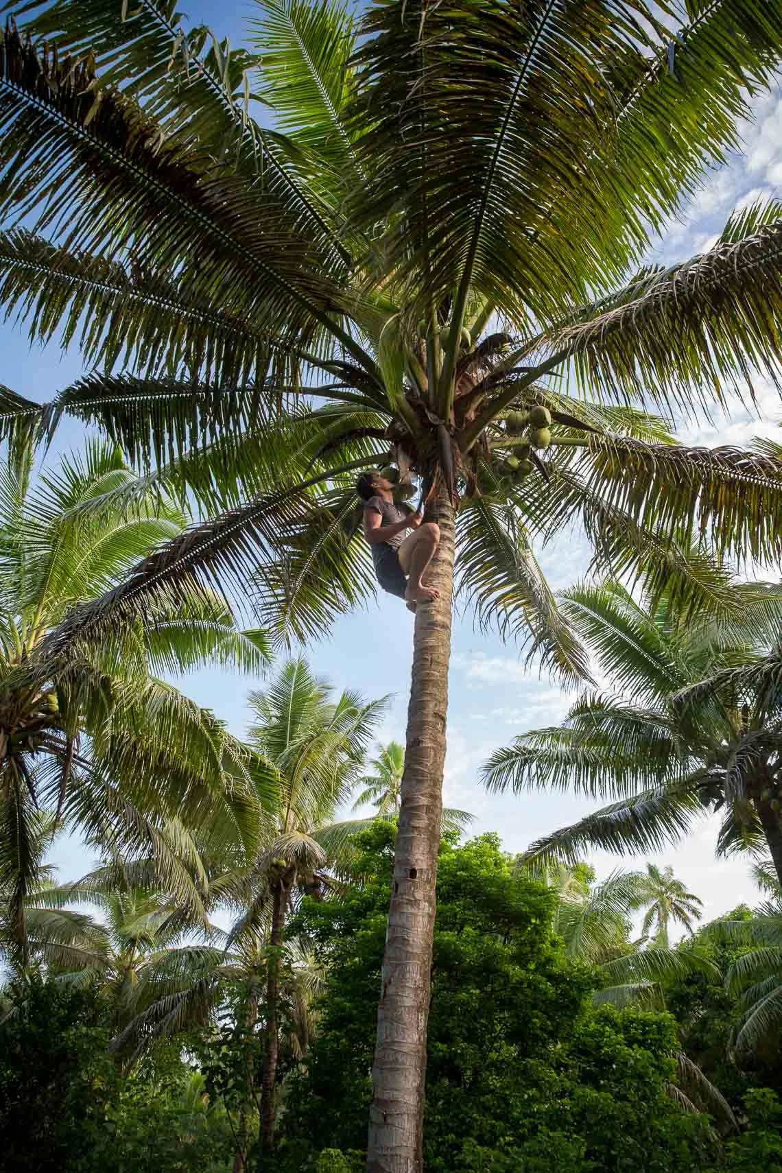 Oxfam-Tonga-3000.jpg