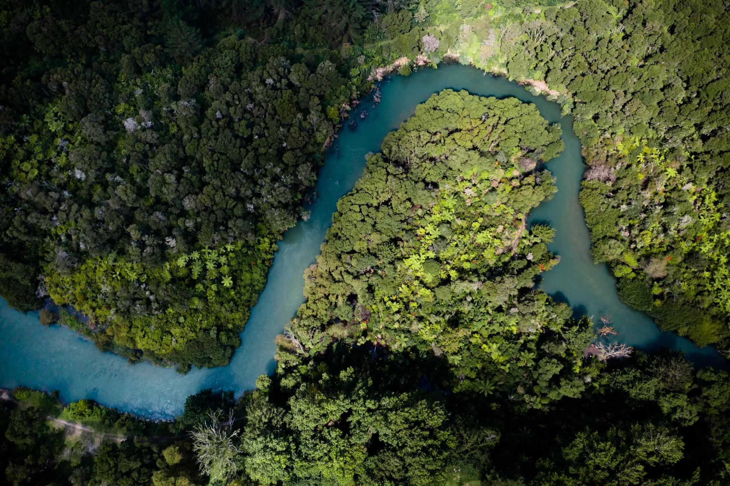 DJI_0141.jpg
