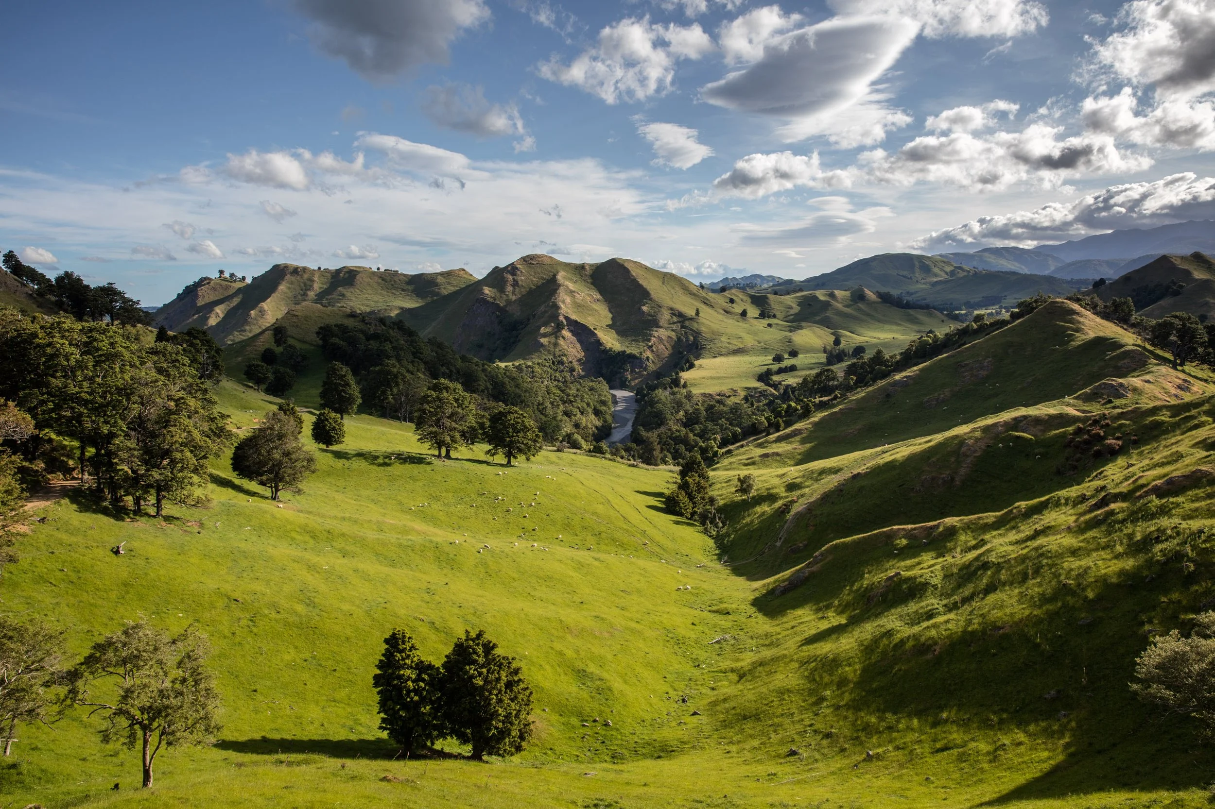 Comvita_HK_MediaVisit-164.jpg