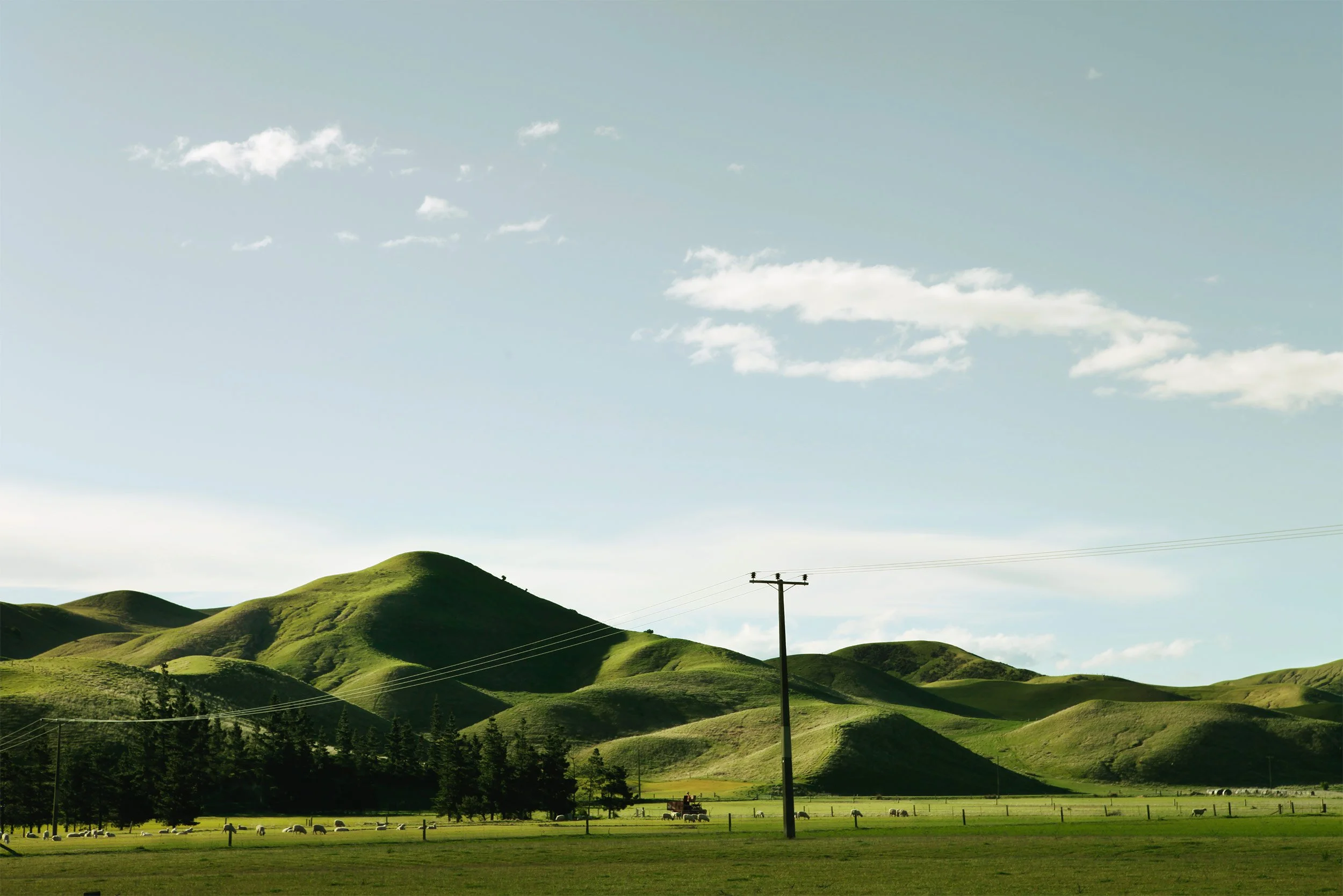 Landscape_Blenheim.jpg
