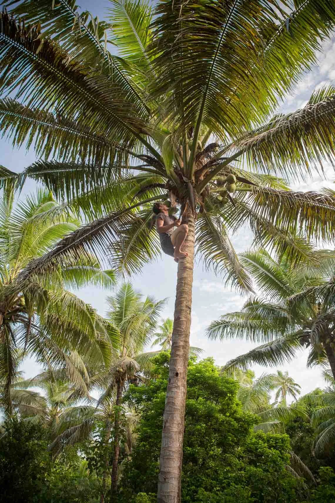 Oxfam-Tonga-3000_1Q.jpg