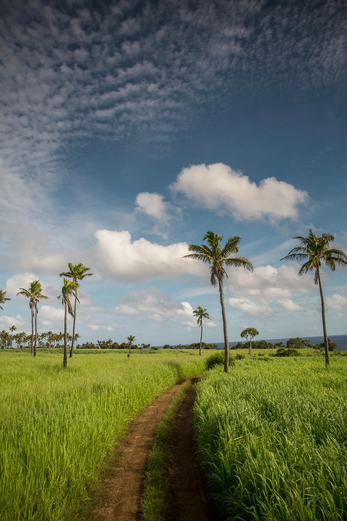 Oxfam-Tonga-2820.jpg