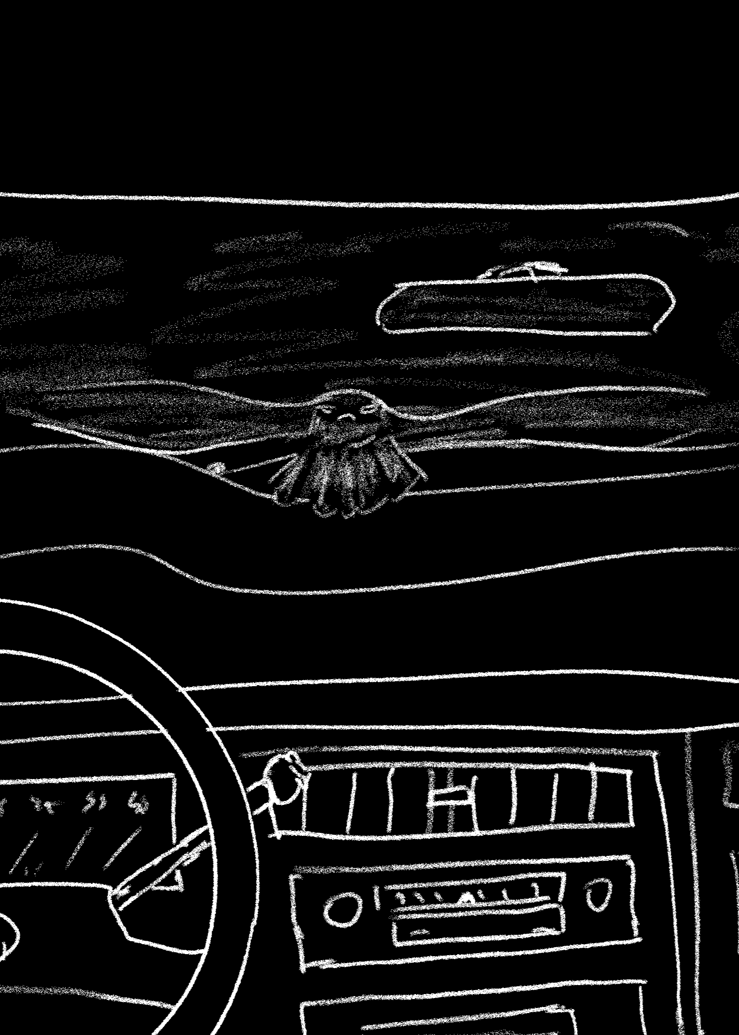Blackbird