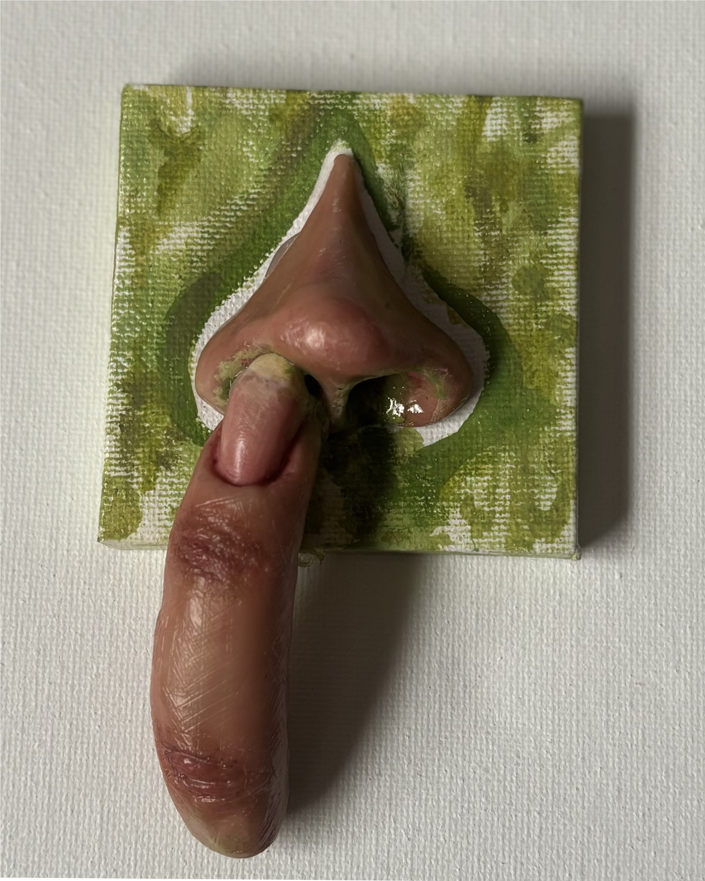 IMG_0384.png