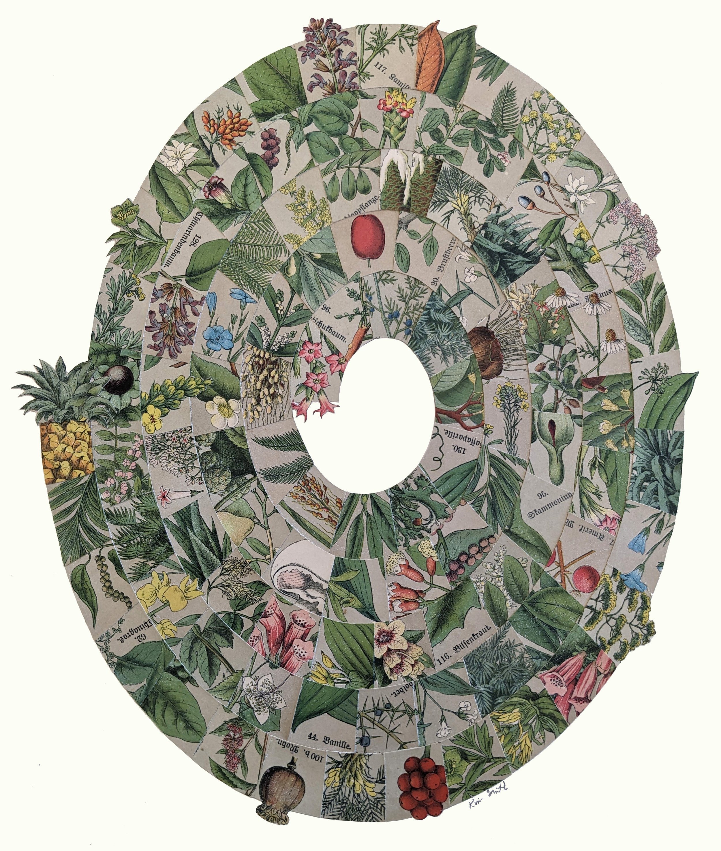Oval – Pineapple, Praktische Pflanzenkunde, 2026
Hand-cut collage made with pages from an antique German botany book, circa 1900, and Yes! Paste on rag board
17.25 × 14.875 × 0.25 inches
Unframed