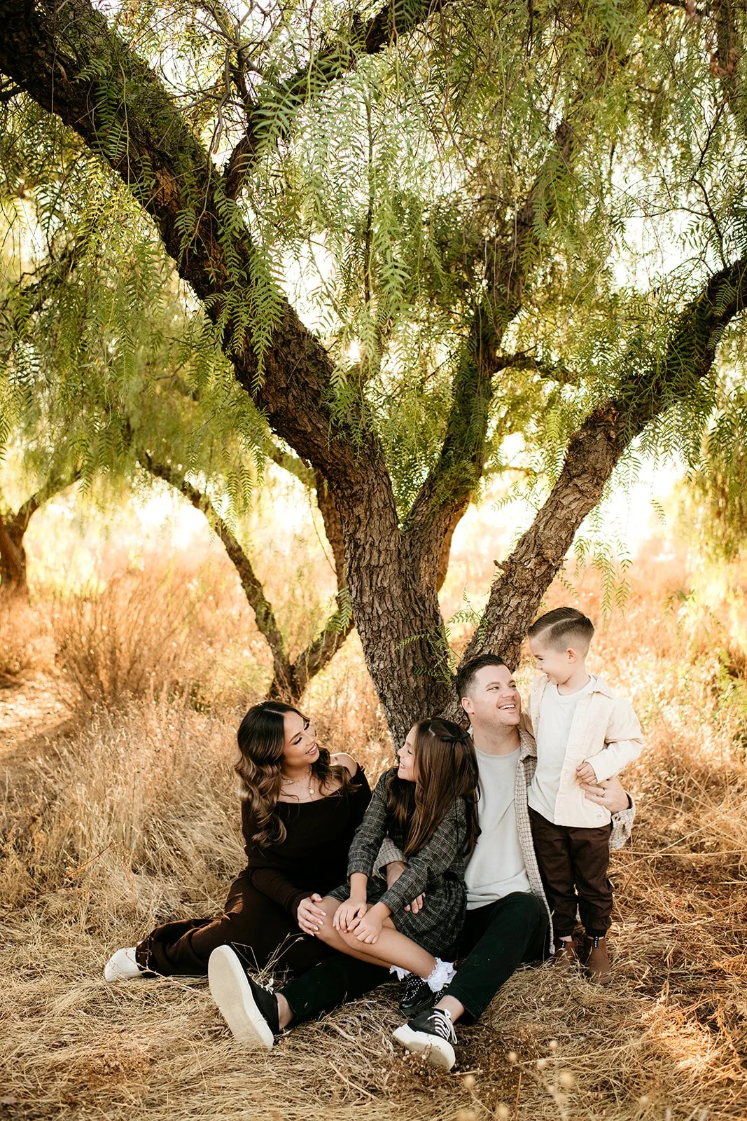 A family of four sitting and standing under a large tree in a grassy field, enjoying sunlight and each other's company.