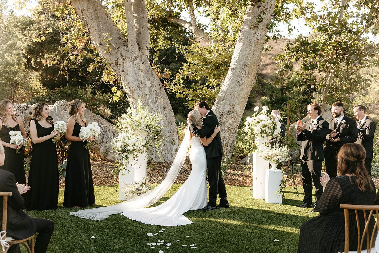 A wedding ceremony outdoors with a bride and groom kissing in front of a large tree, surrounded by bridesmaids in black dresses and groomsmen in black suits, with guests seated on chairs clapping and watching.