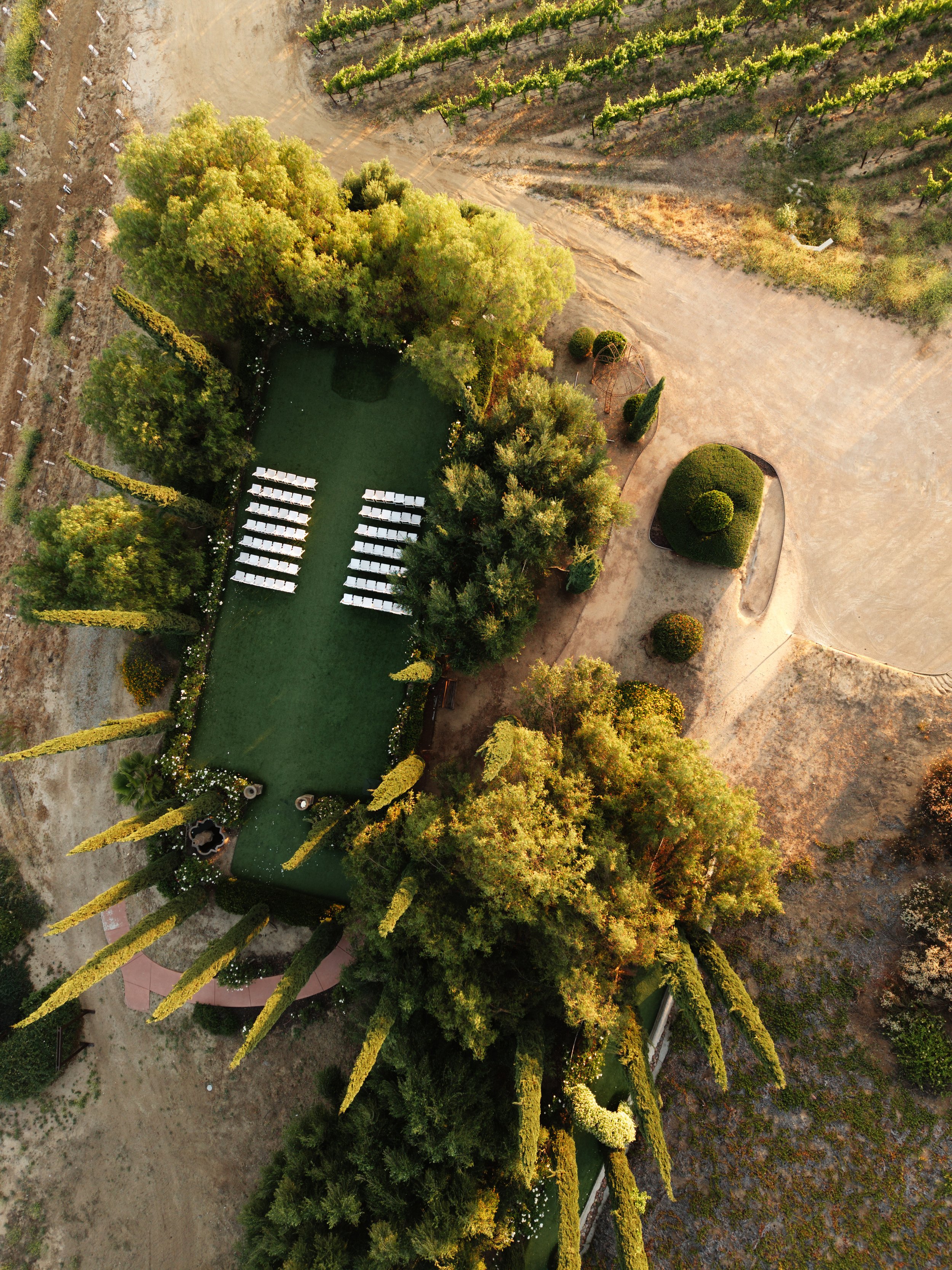 An aerial view of a landscape with a small green pond surrounded by numerous trees, with rows of grapevines in the background and paths on the sides.