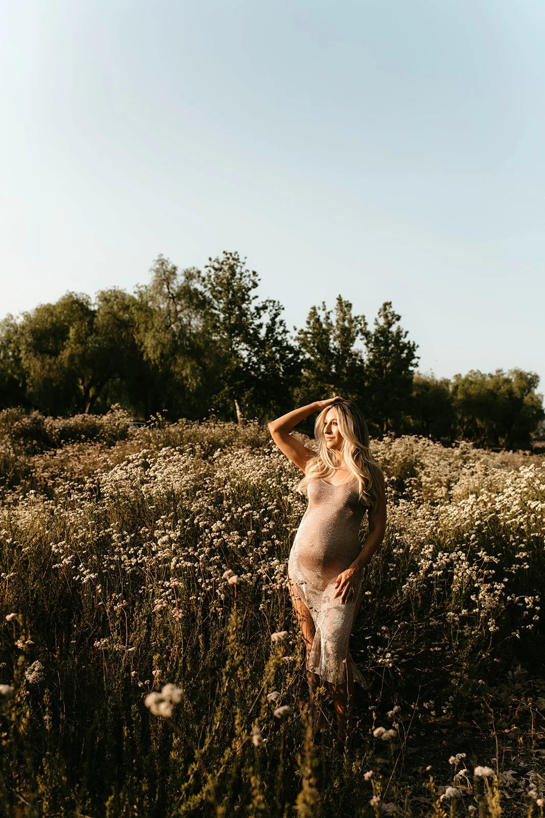 A pregnant woman in a beige dress standing in a flower field during sunset.