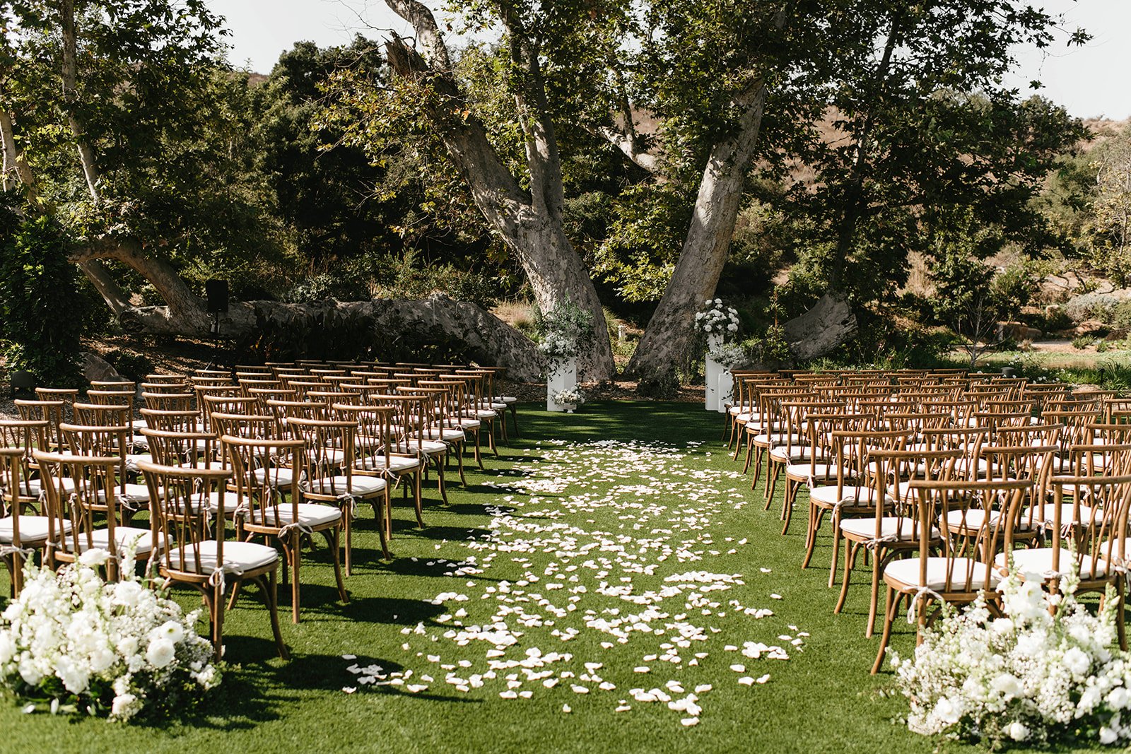 Outdoor wedding ceremony setup with rows of chairs facing an arch, white flower arrangements, on a grassy area surrounded by large trees with flower petals scattered on the ground.