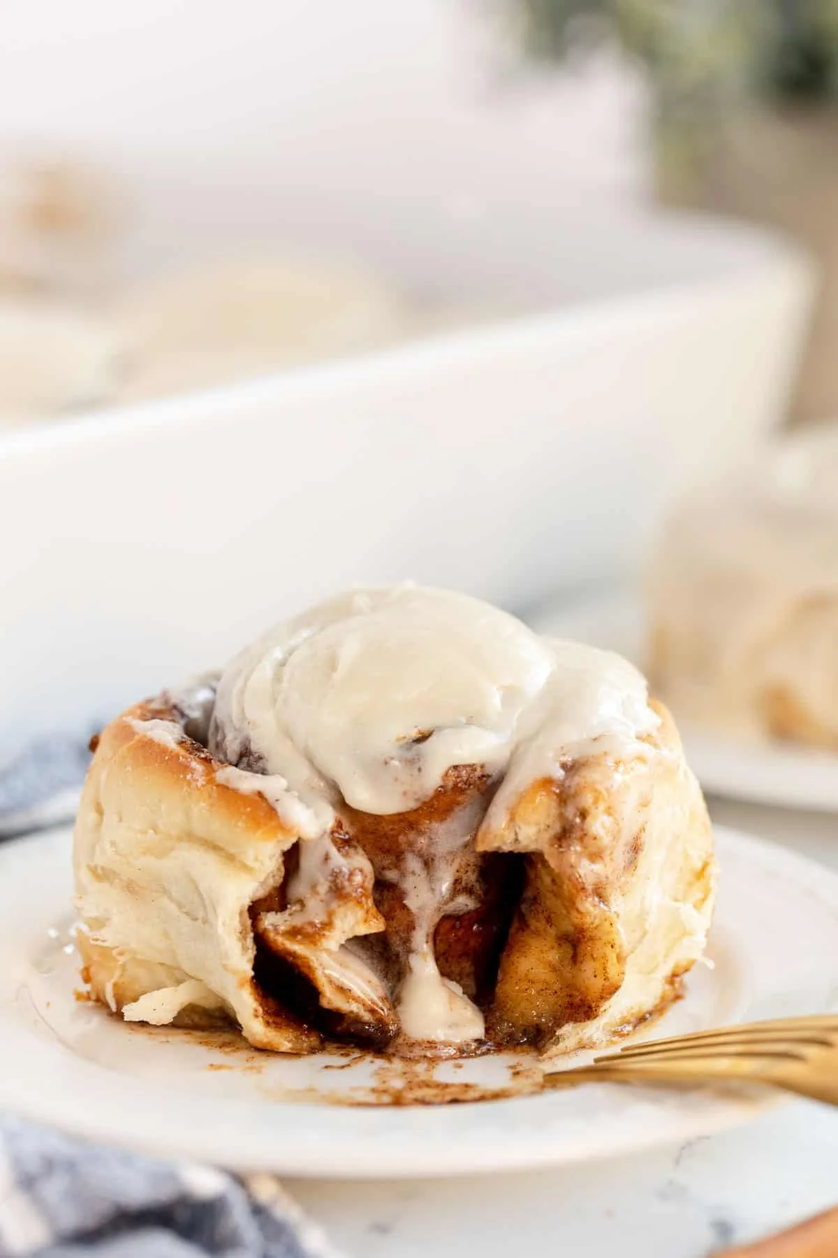 Vanilla Bean Cinnamon Roll