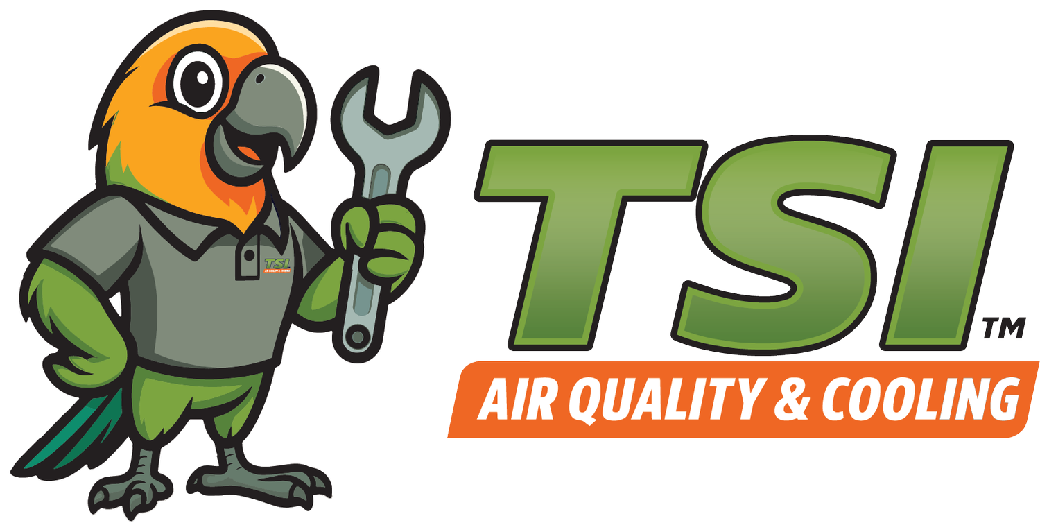 TSI Air