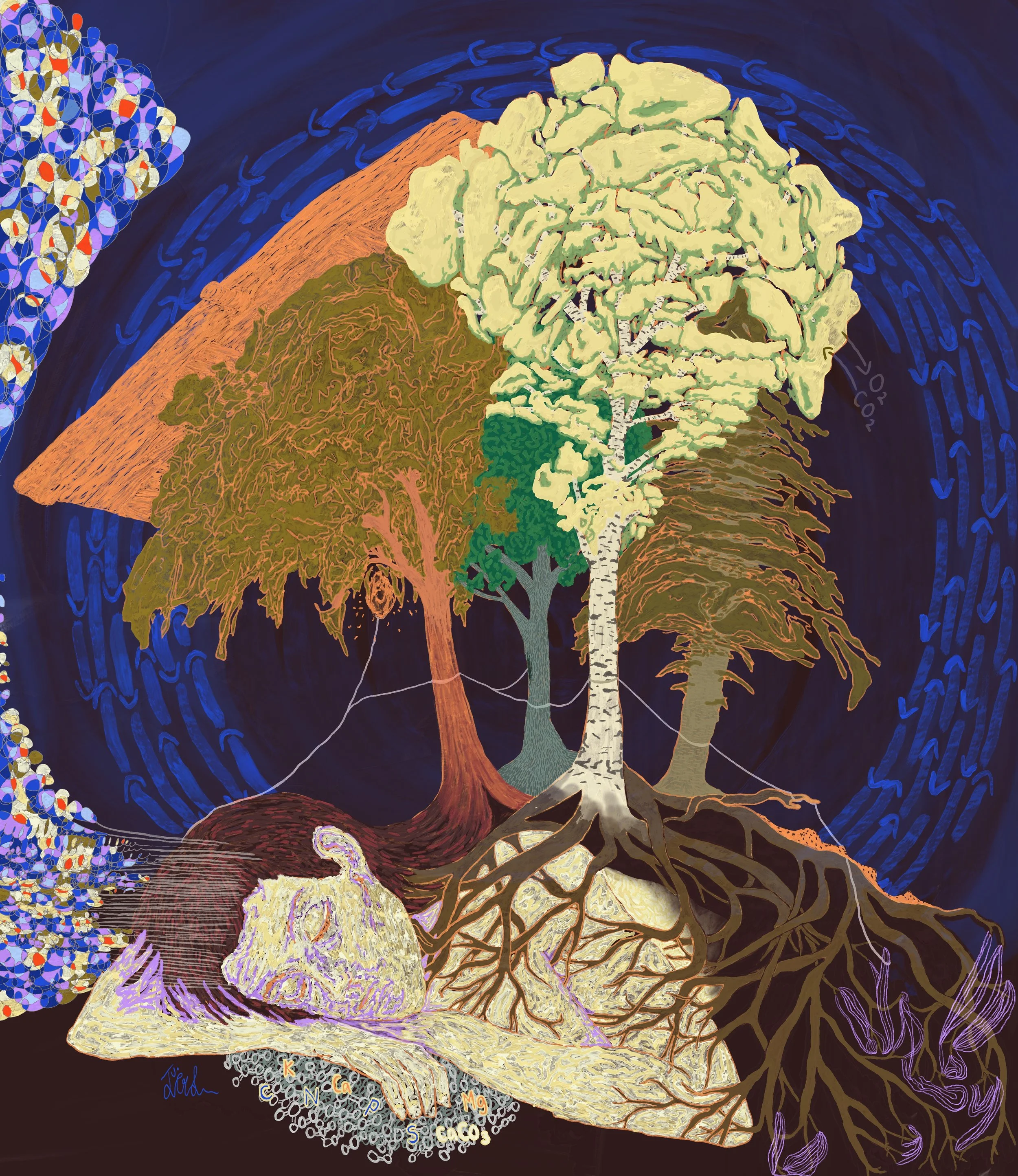 Ecosystems services