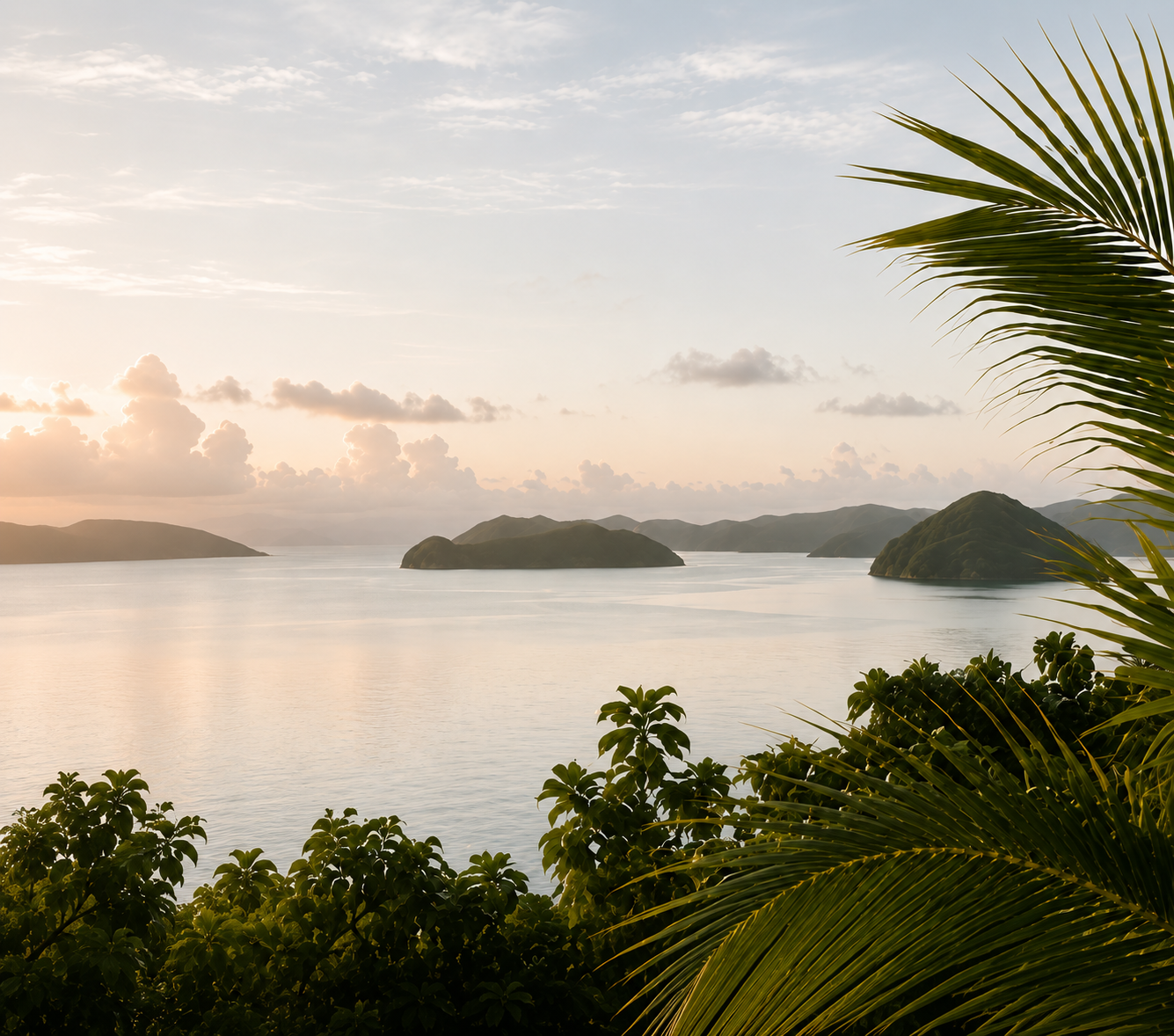 Tropical coastline in Palau representing hospitality consulting, workforce development and wellness services by Embodied Systems Co.