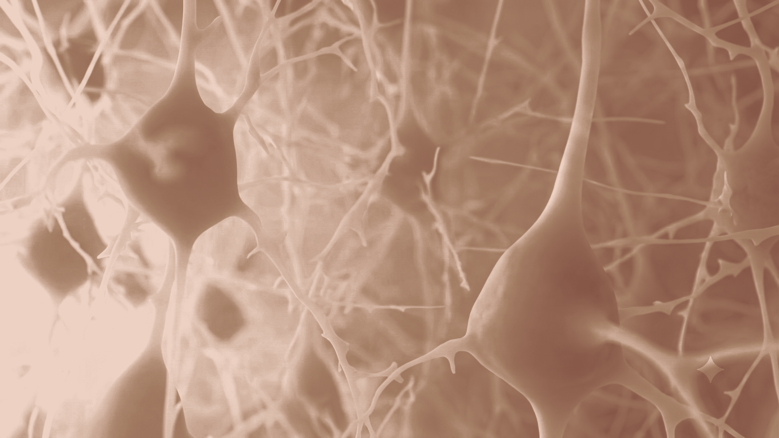 Close-up of a network of interconnected, thin, branching structures in soft beige and brown tones.