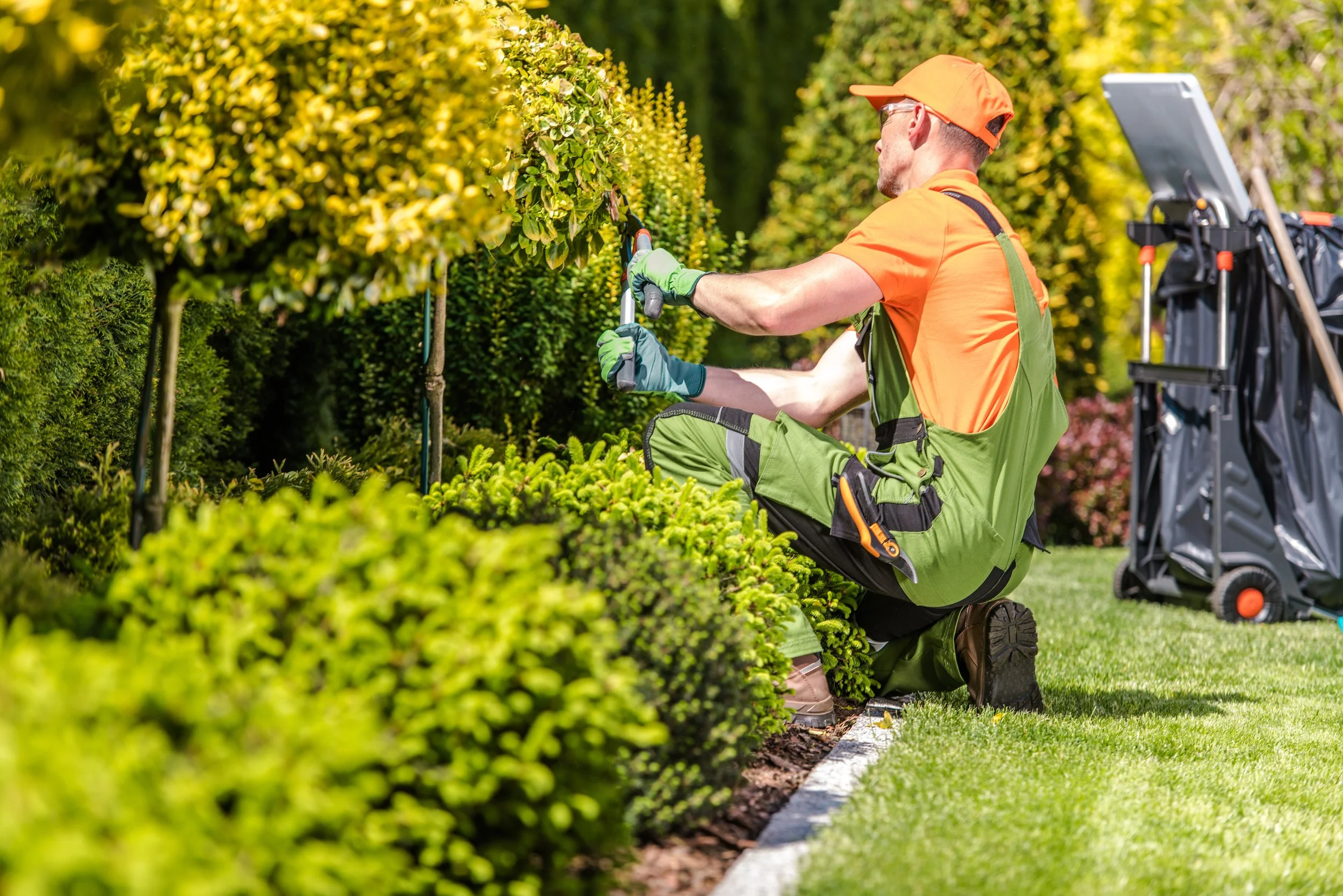 Premium Lawn and Garden Maintenance