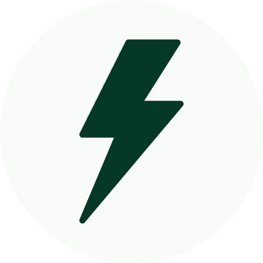 A dark green lightning bolt symbol inside a white circle.