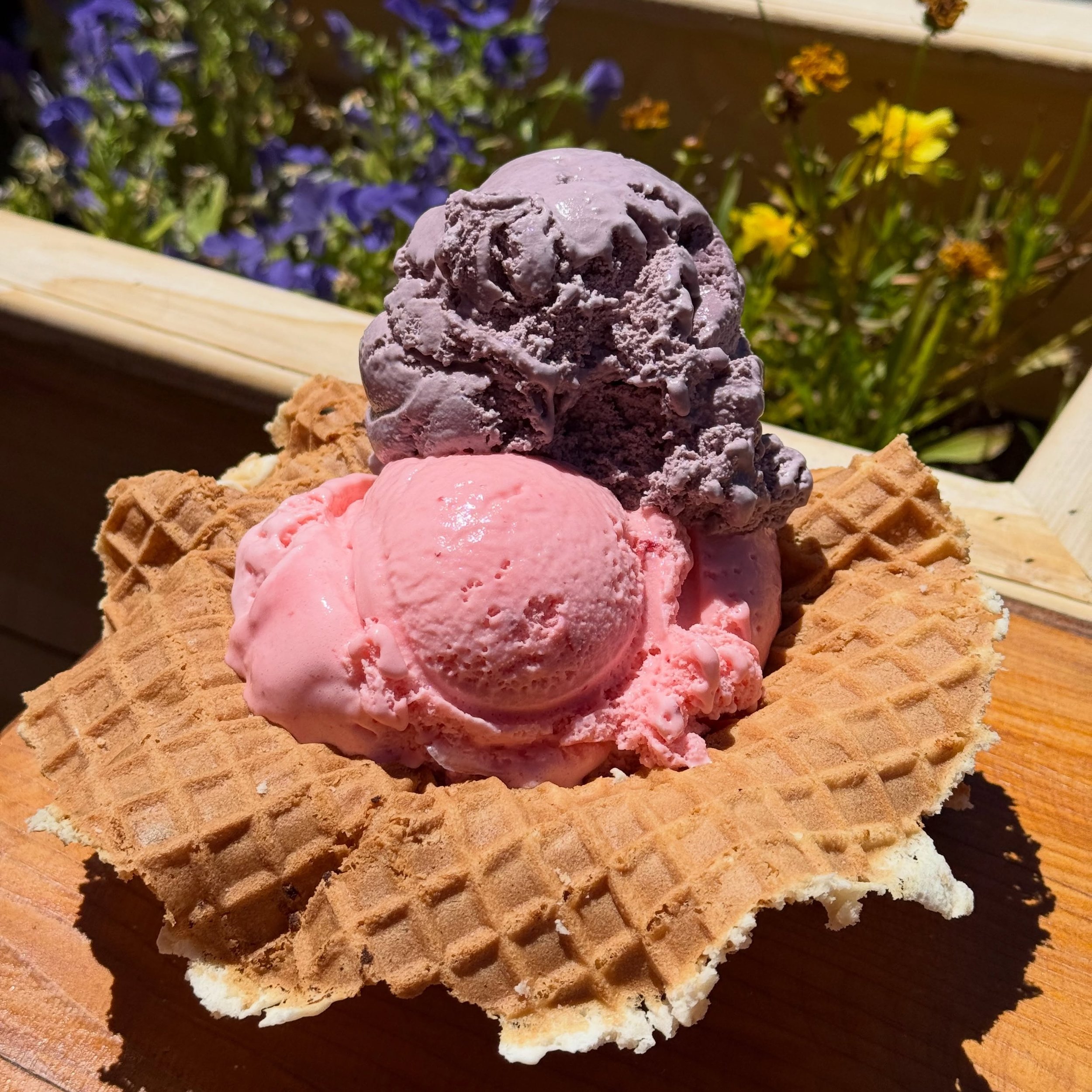Now serving WAFFLE BOWLS with 1-3 scoops of Hoch Family Creamery premium ice cream! 
Pictured here: Black Raspberry + Strawberry combo