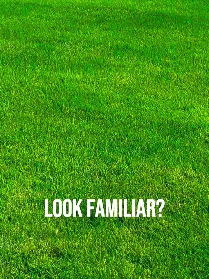 🌱🎬 Ground Floor Growth + Great Grass = A Perfect Match
We&rsquo;re thrilled to be partnering with Lawn Ace as one of our ground floor clients at Timed Signatures! From day one, they&rsquo;ve welcomed creative collaboration as we help bring their la
