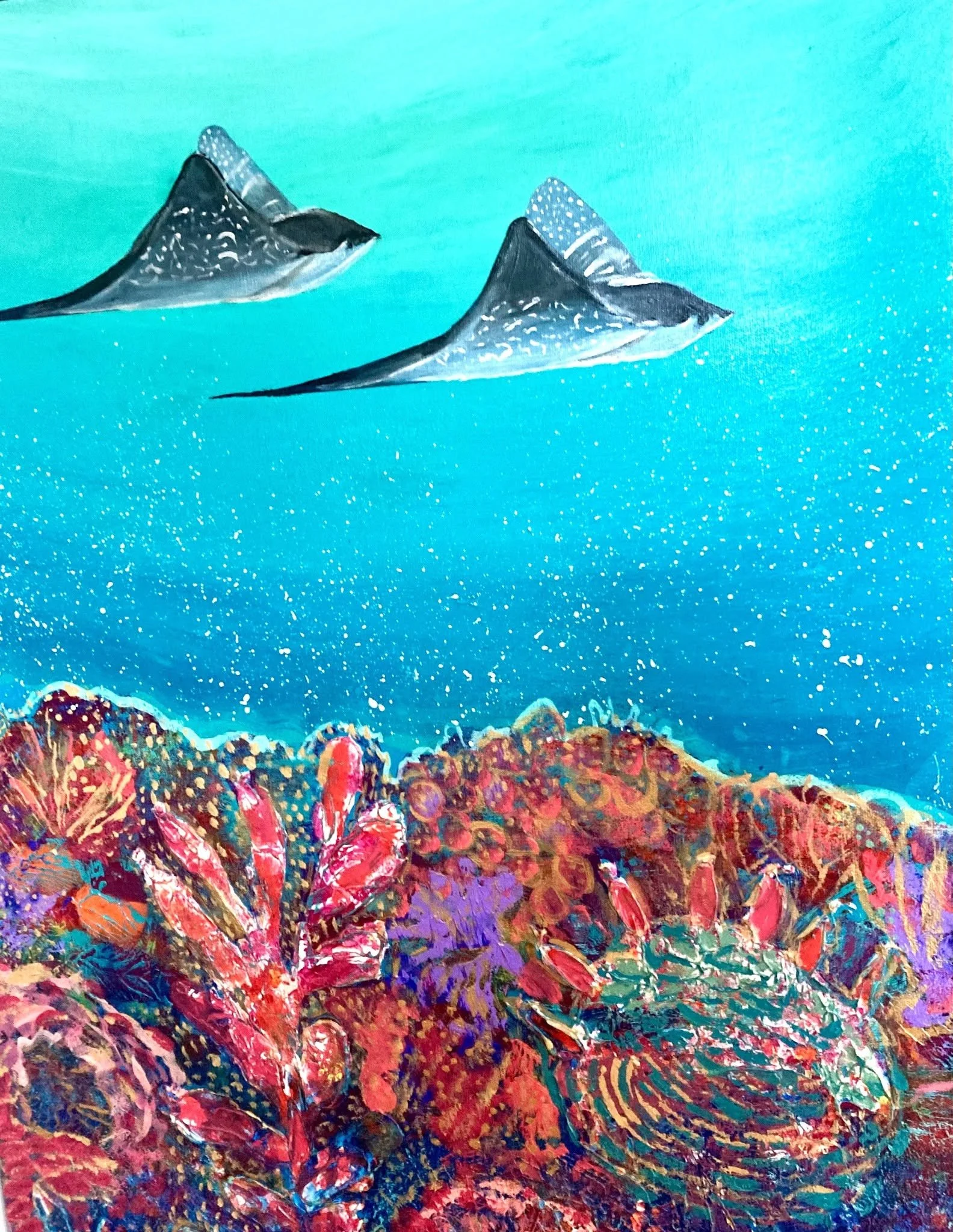 Fever of Rays
