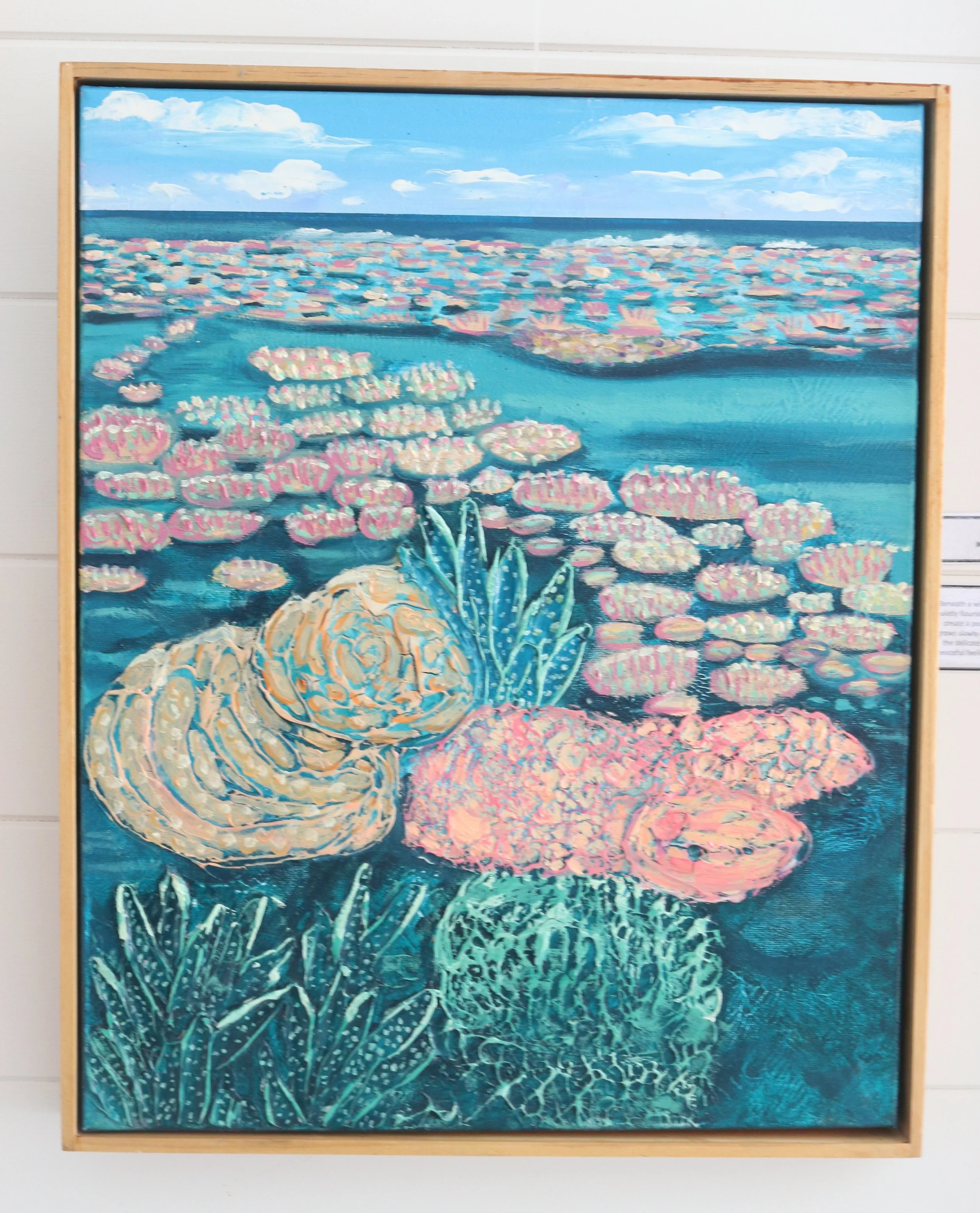 Coral Garden.JPG
