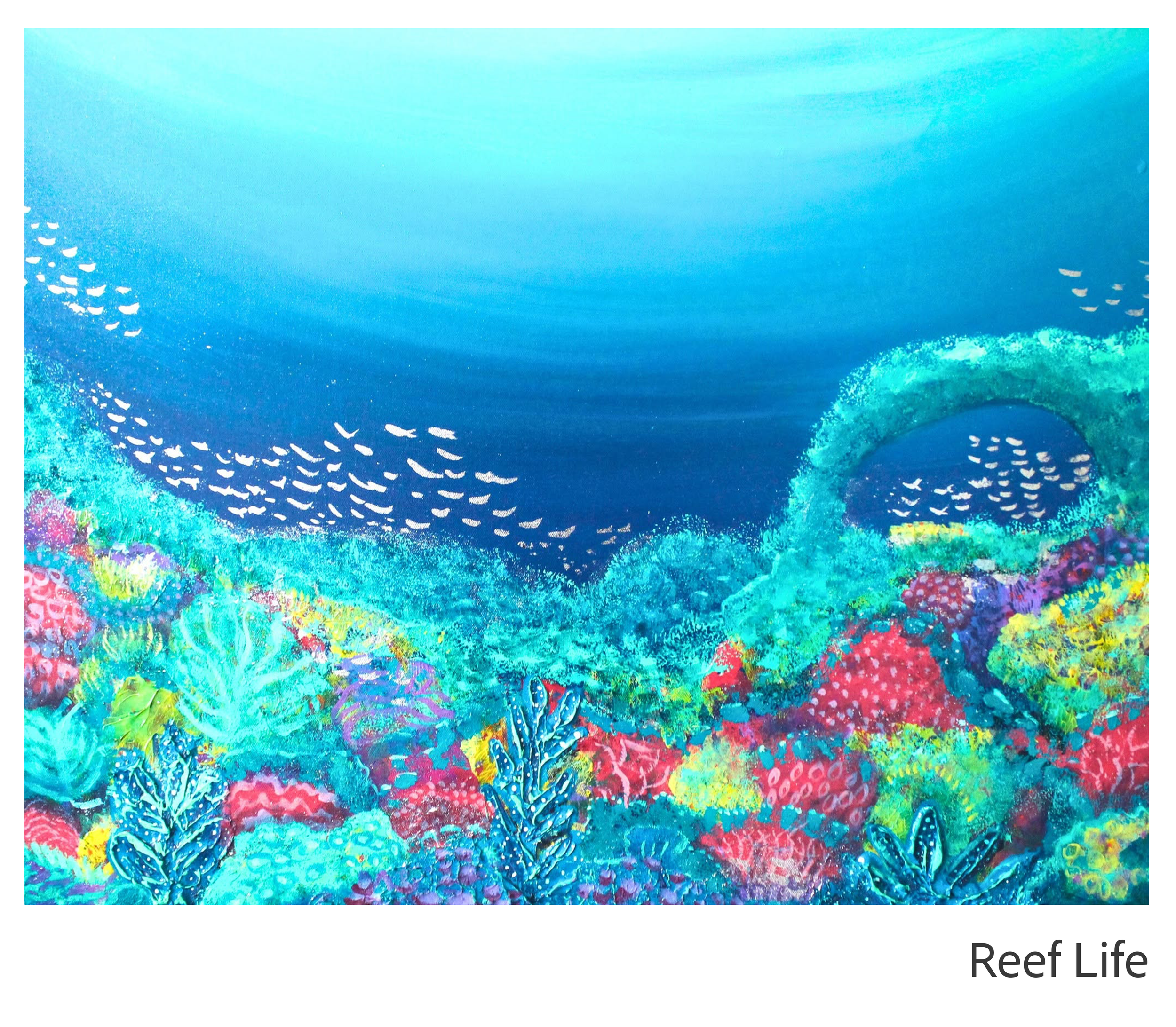 Reef Life.png