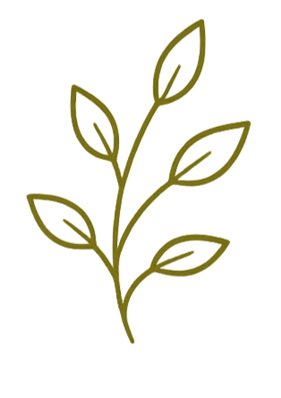 Simple line drawing of a plant.