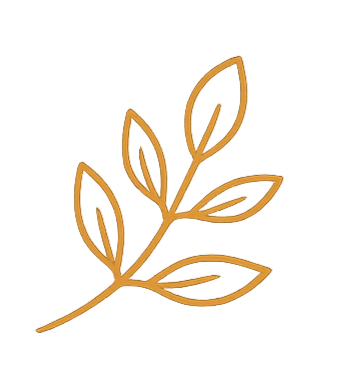 simple line drawing of leaf