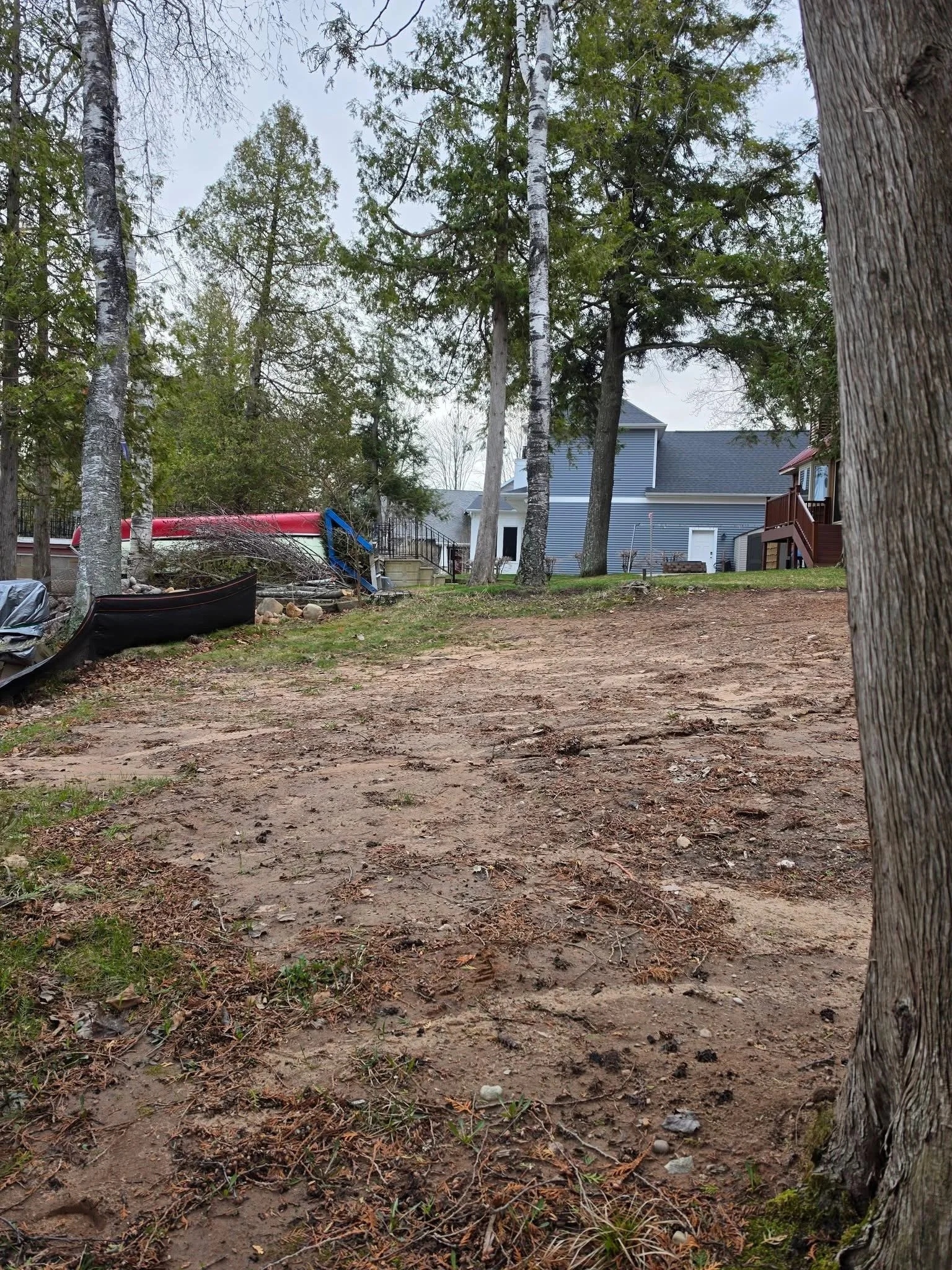 Backyard clearing — Ground clearing and brush cutting by Ground & Grid Solutions