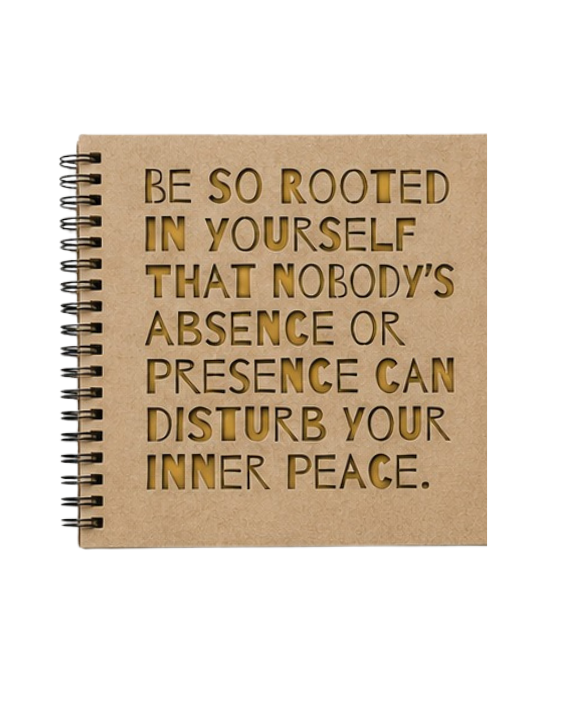 Laser Journal Photo (29).png