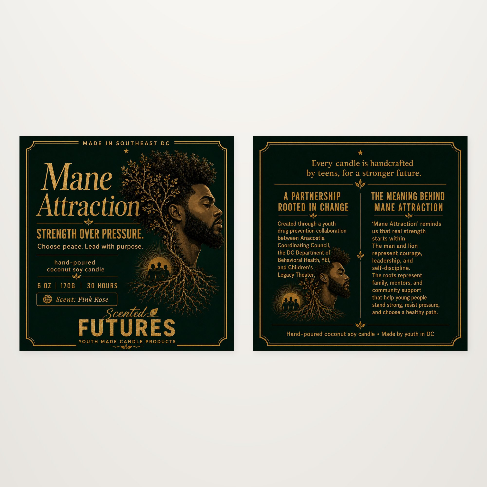 SFDP-02_mane-attraction_v2_04_flat-labels-front-back_2000x2000.jpg