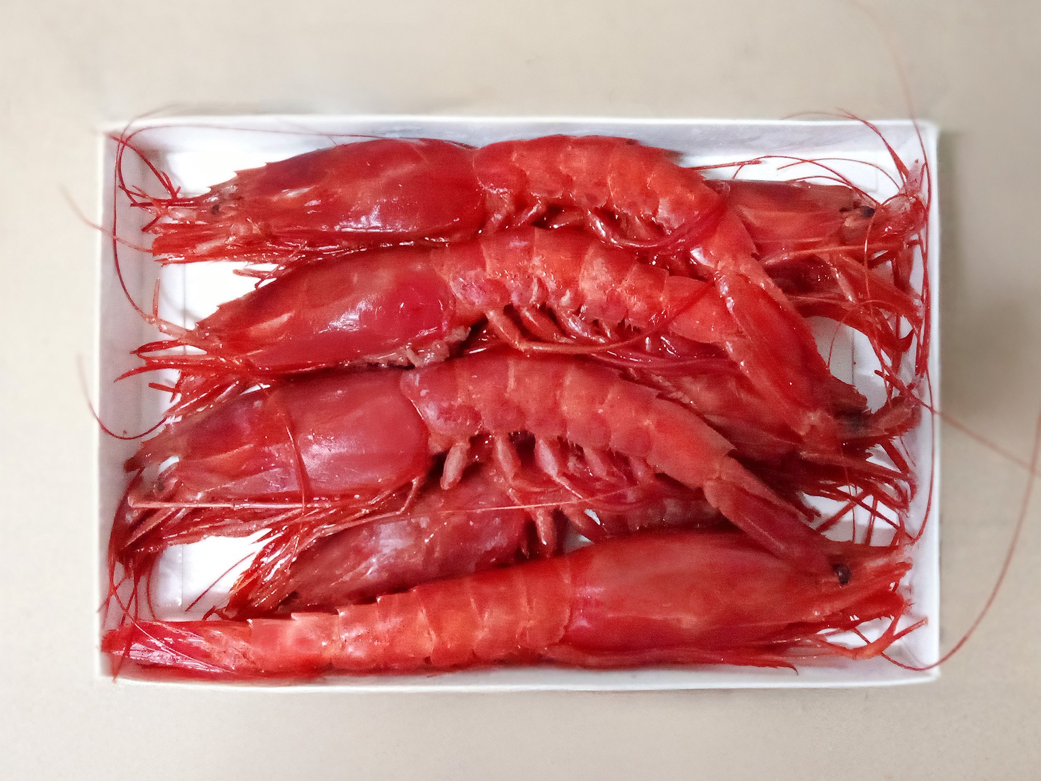 Top view of multiple Red Prawn—Carabineiro Selvagem/red shrimp arranged in a white container.