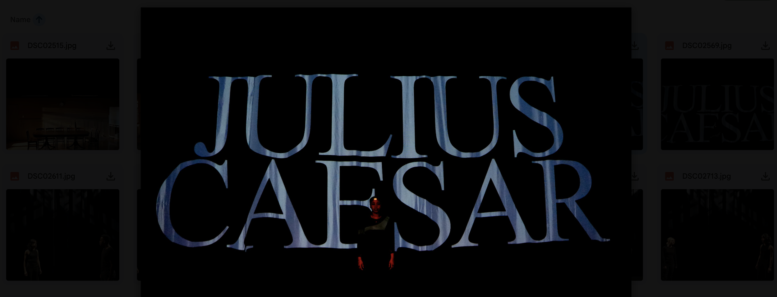 "Julius Caesar/Ensemble" in An Adaptation of Julius Caesar by Michael Ronca