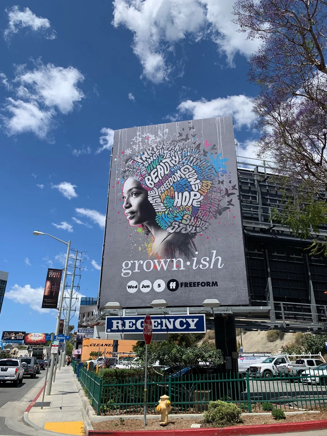 grownish_sunset.jpg