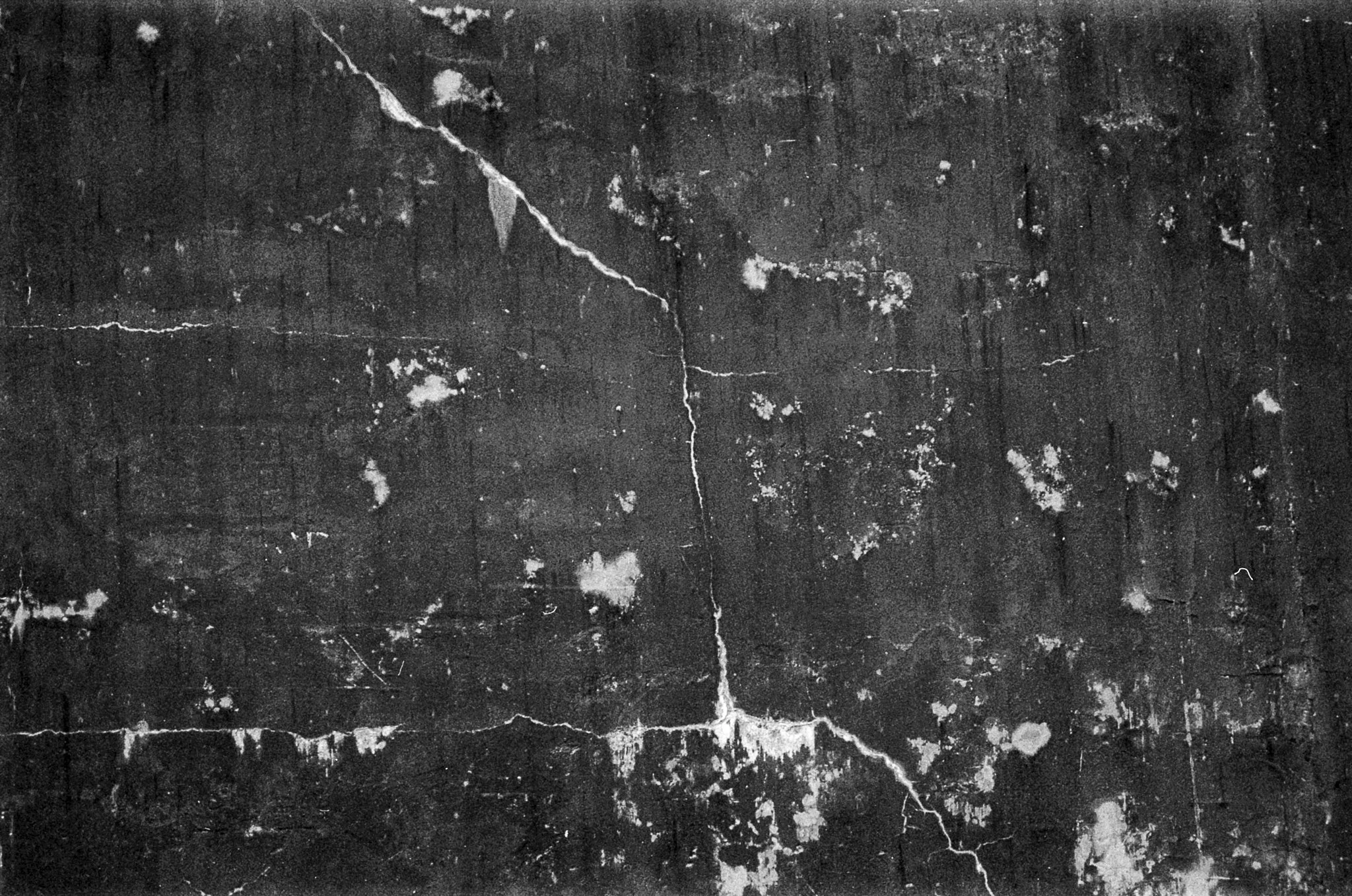 000023710008_8.jpg