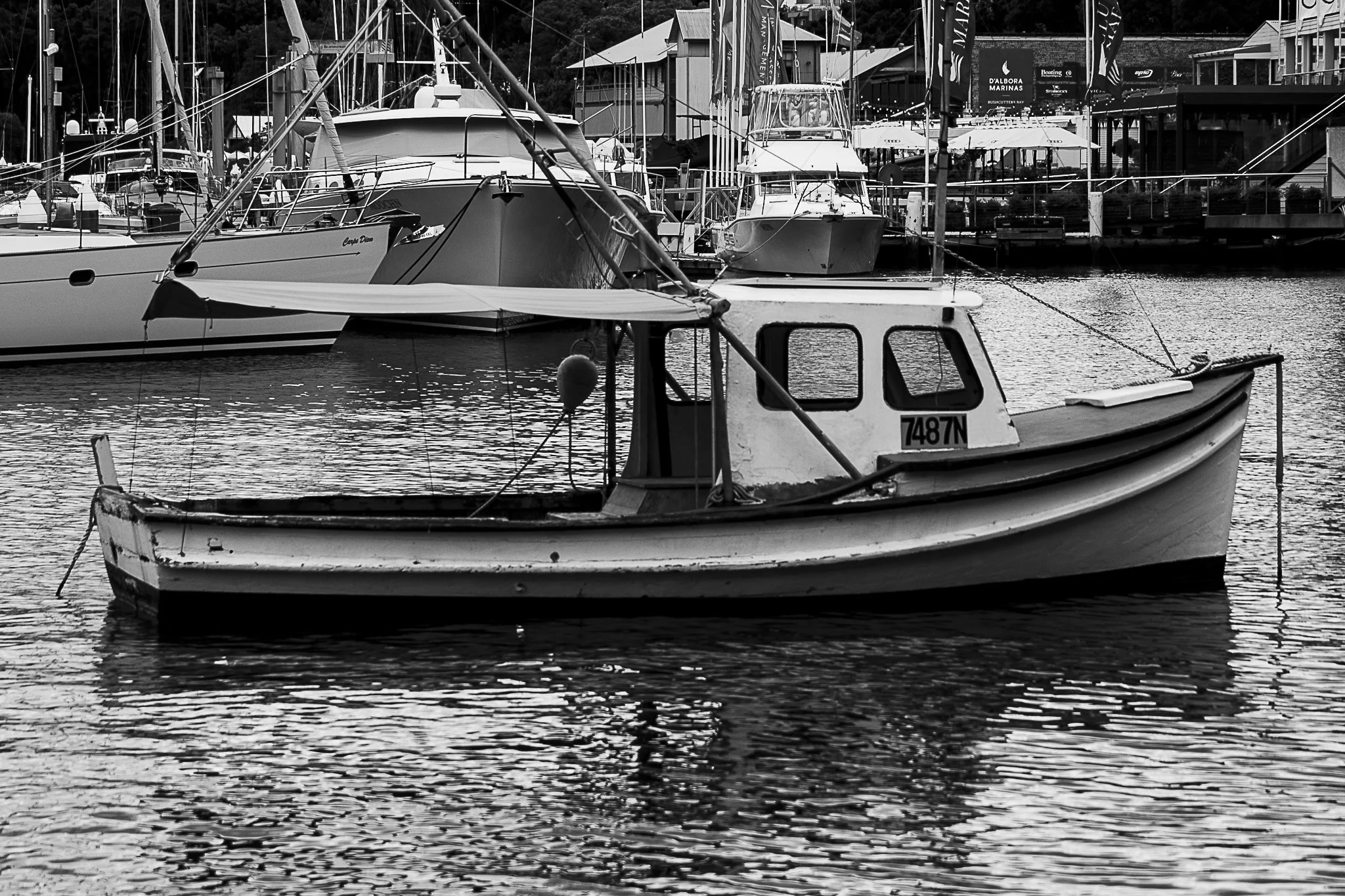 CRW_0205.jpg