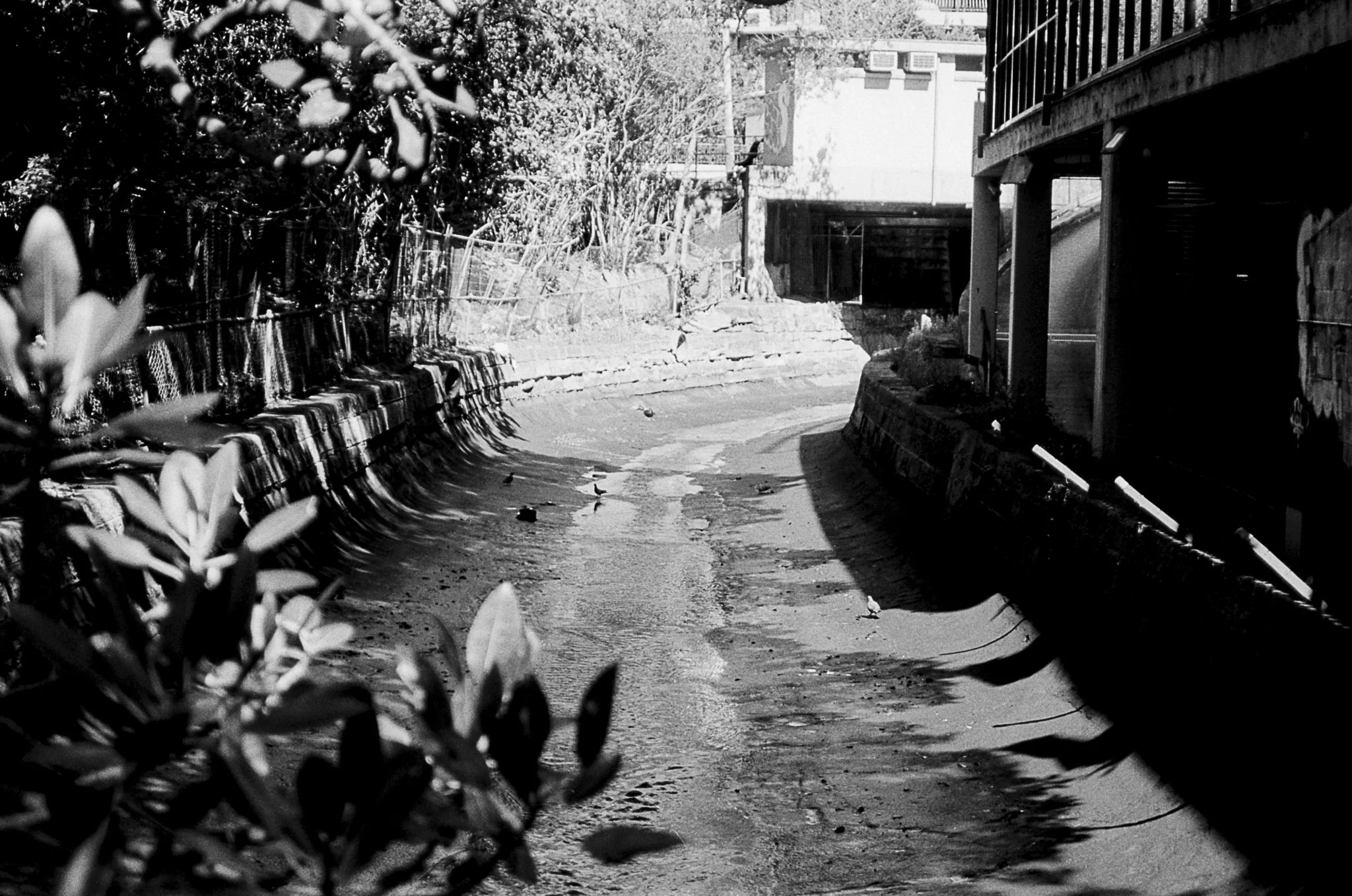 000082010019_19.jpg